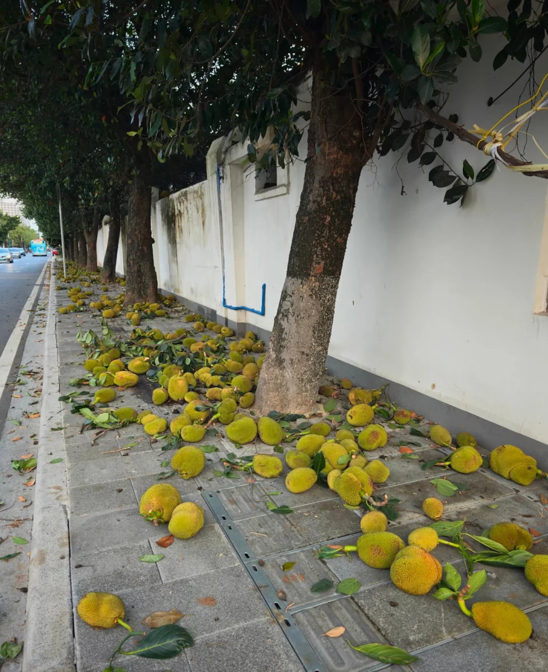 广州急等 大家一起捡