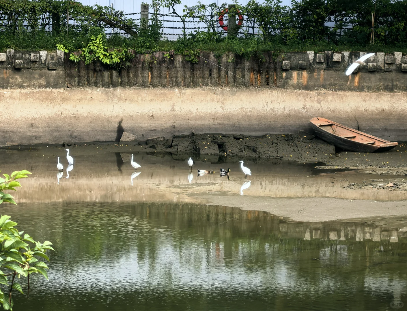 深圳历史最悠久的公园-中山公园