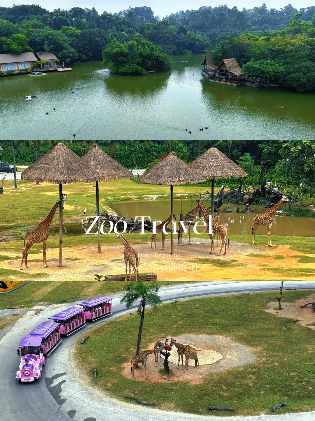 人生建议，一定要带娃来一次广州！4天3晚攻略