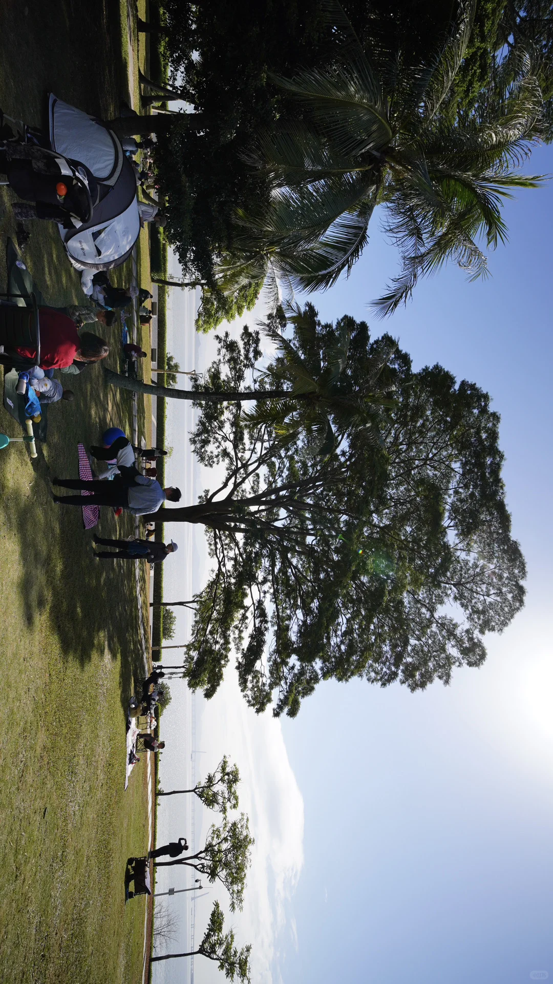 深圳湾日常存档