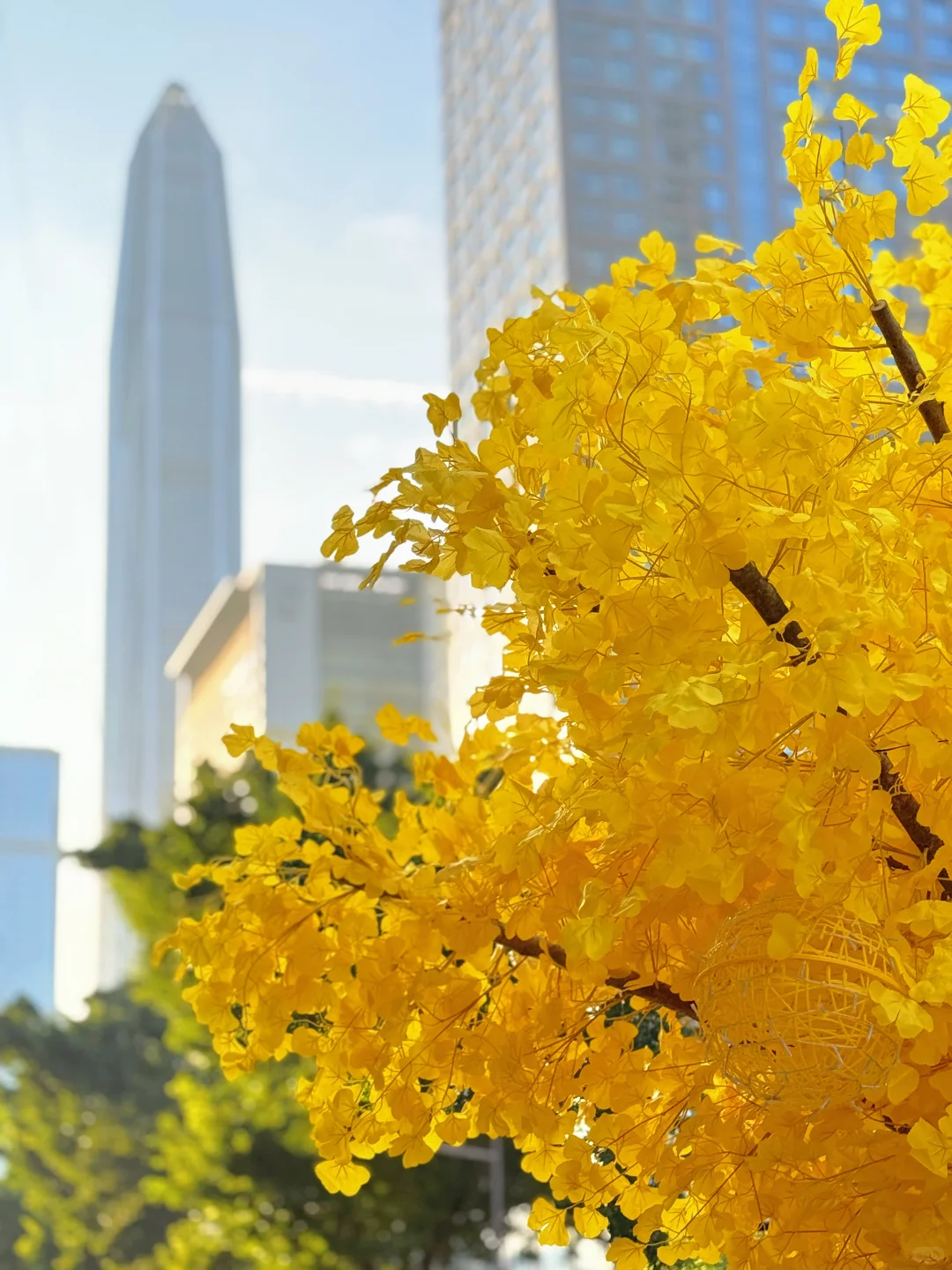 深圳5G入秋！谁说没有秋天？