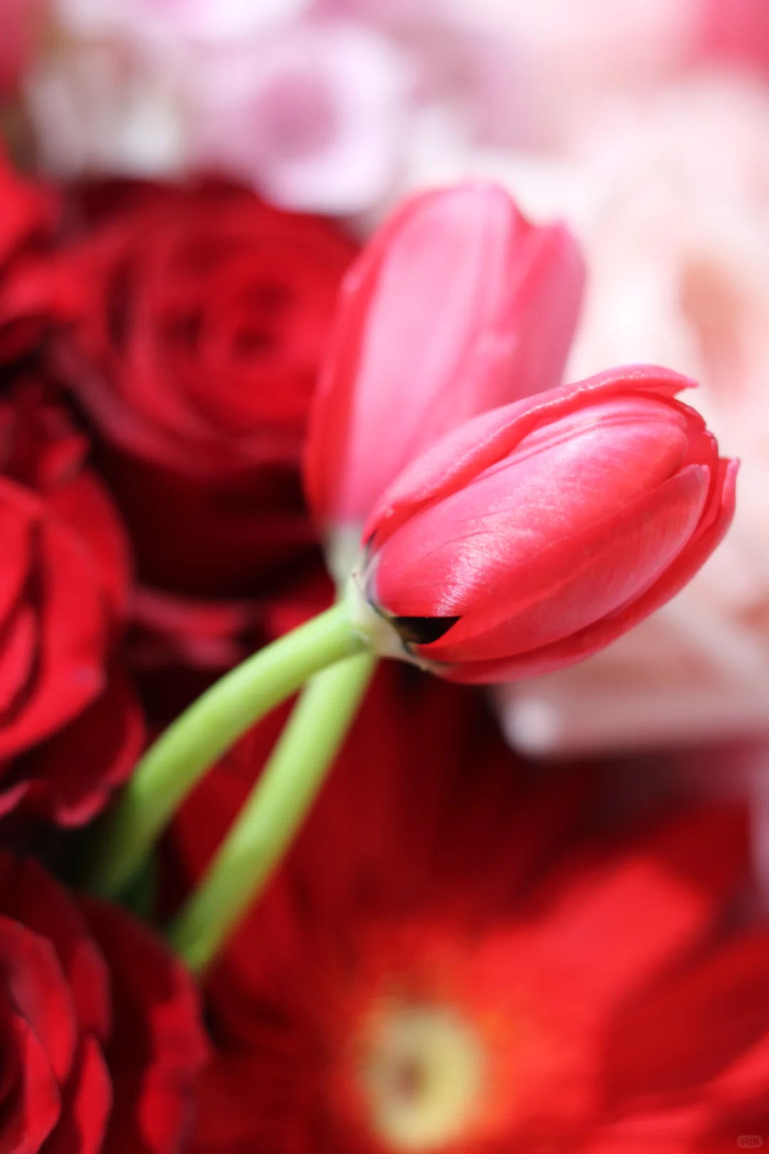 深圳市宝安区怀德万象汇3