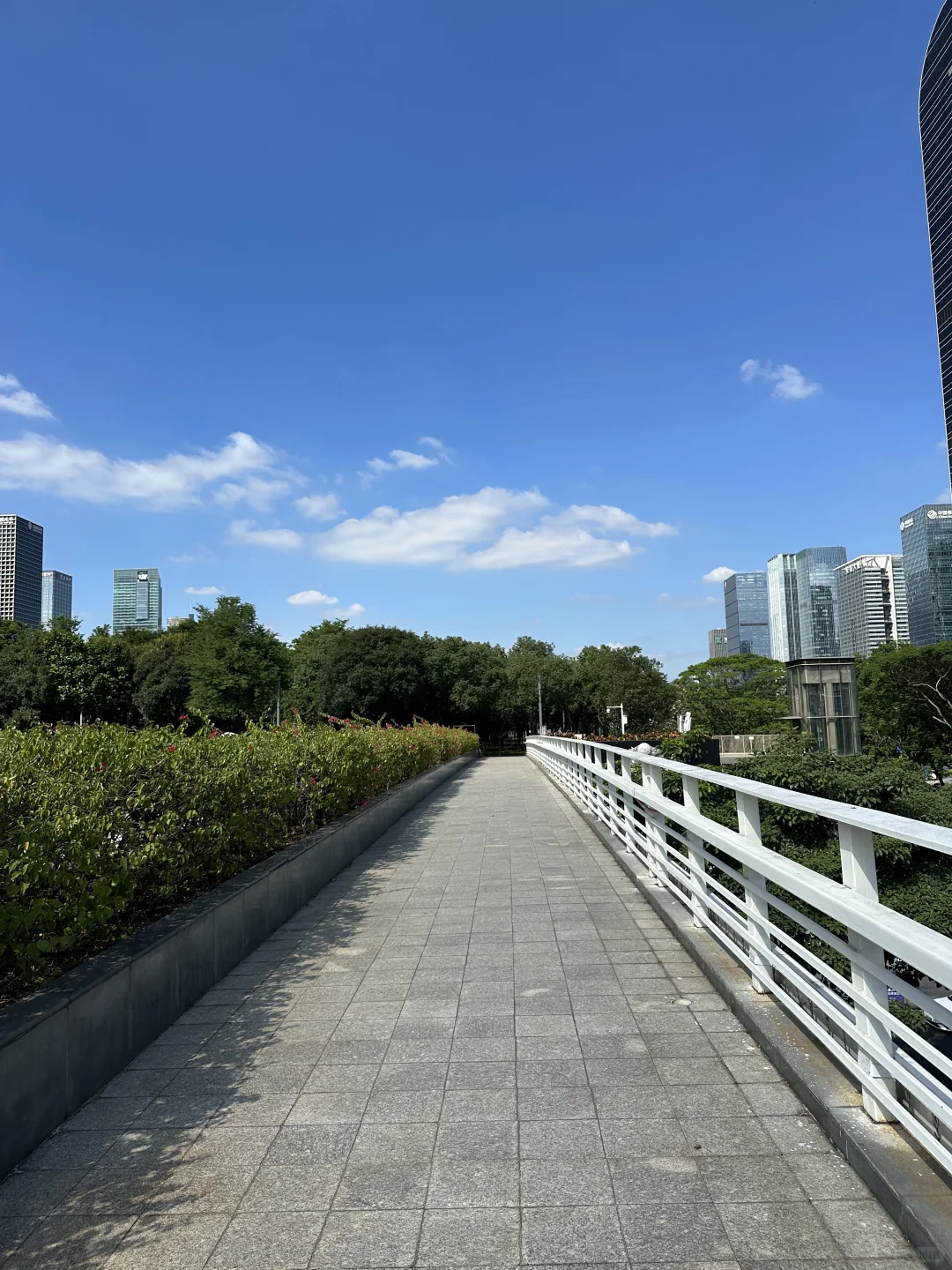 谁懂啊？🔅☁️深圳今天天气的含金量！