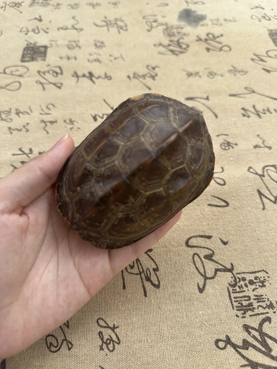 深圳这地方灵气太浓郁了，普通人都能感觉到