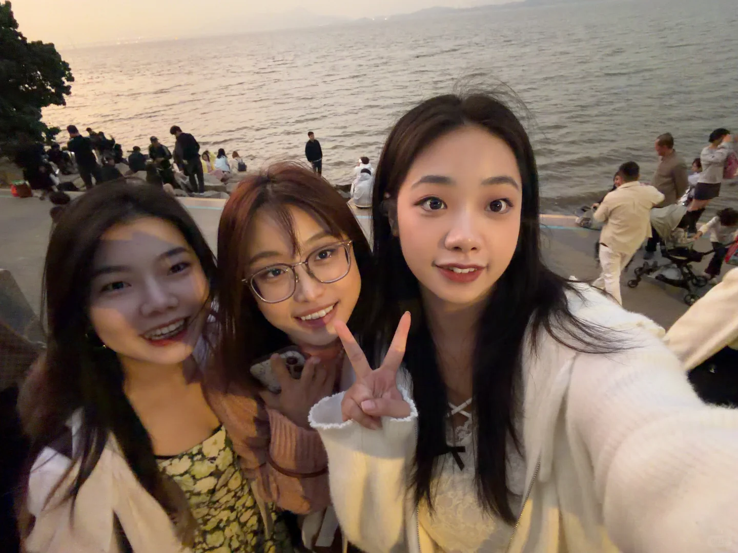 深圳湾真有你的