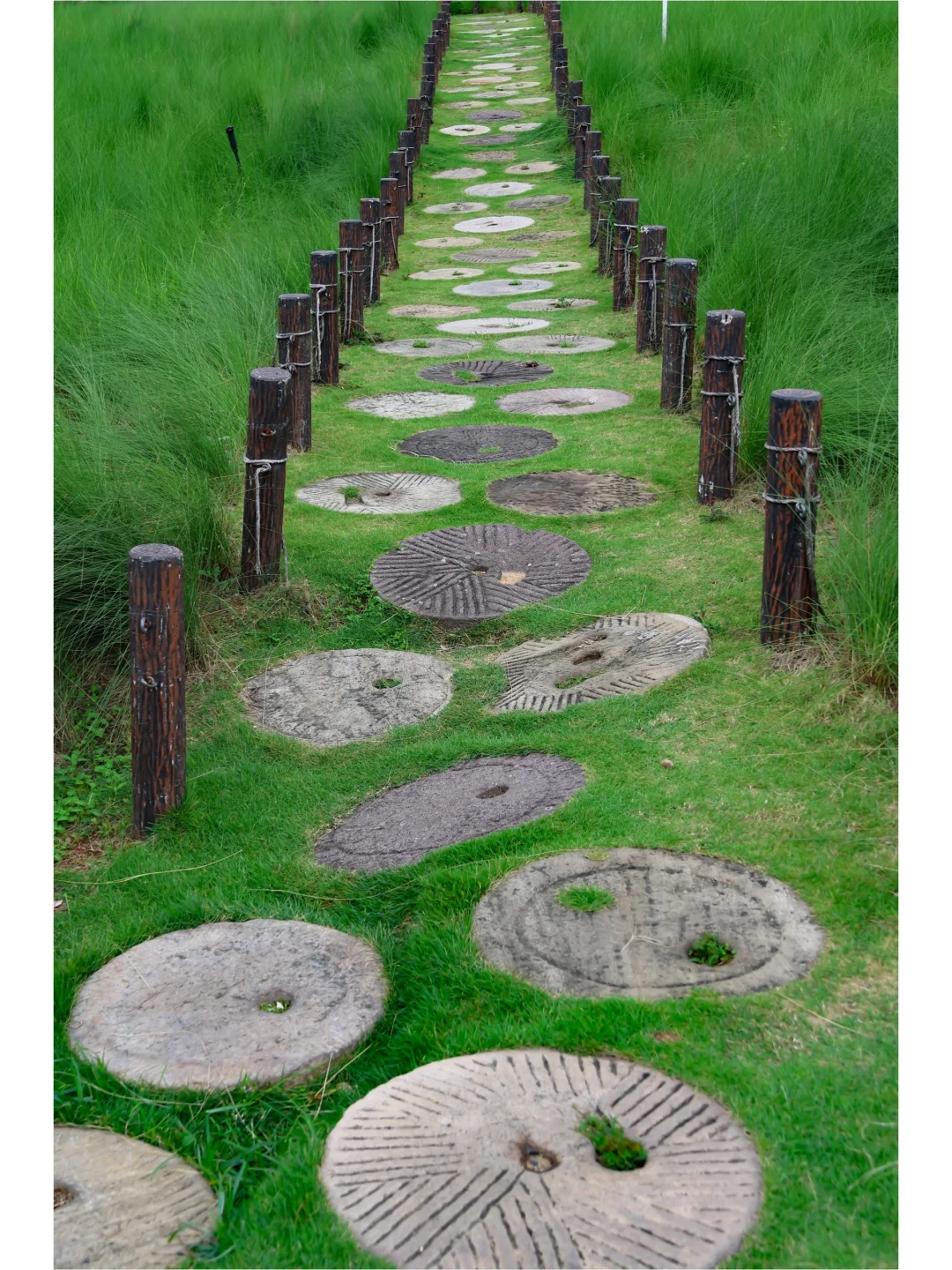 是谁允许深圳一个普通公园竟然这么美的….