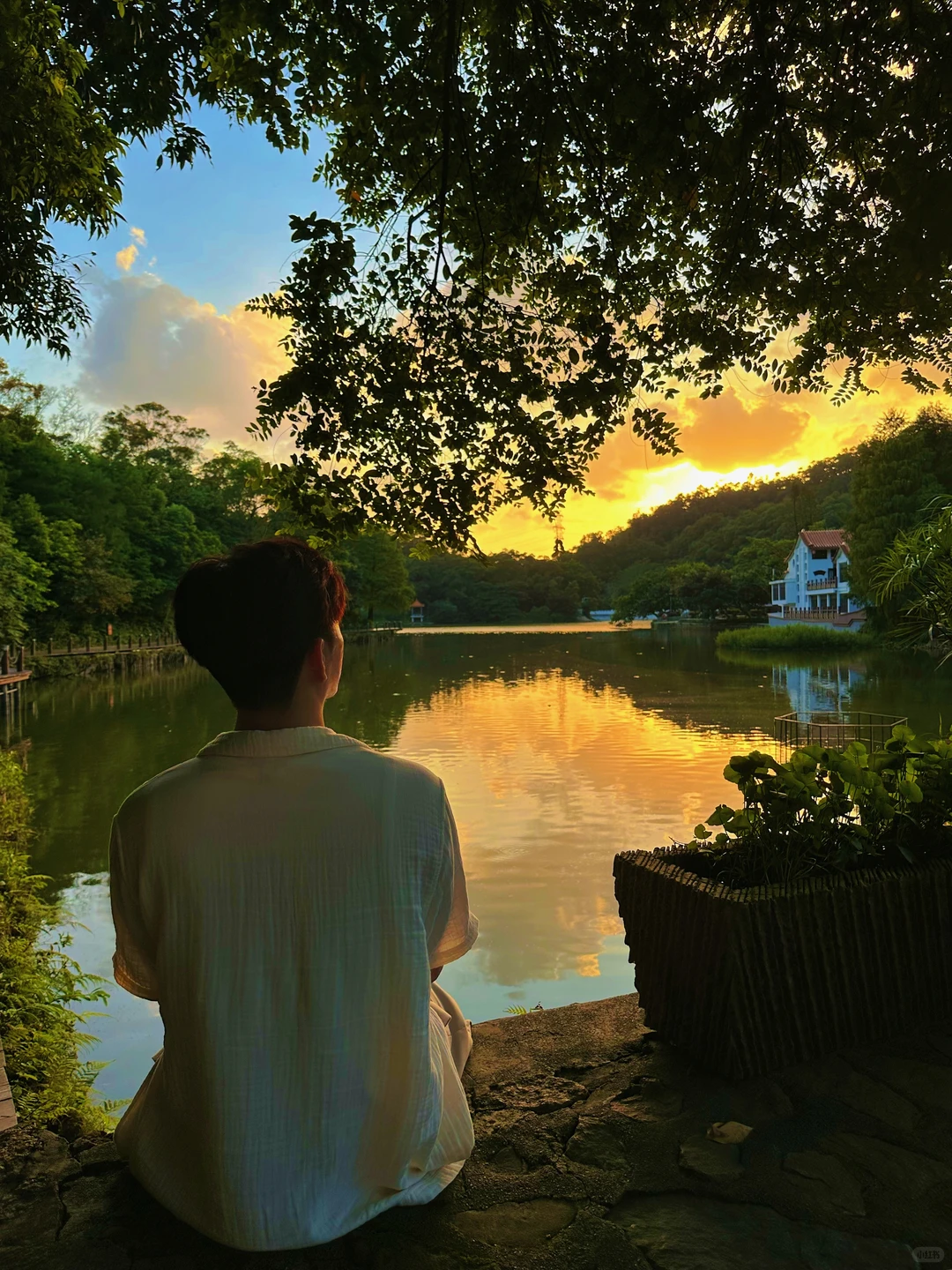 在深圳拍到的18张人生照片📸附地址！