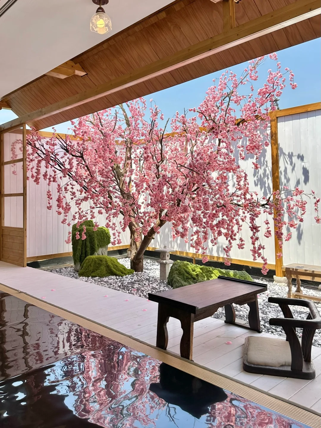 不在国外！！！！在深圳！！！！（live图）