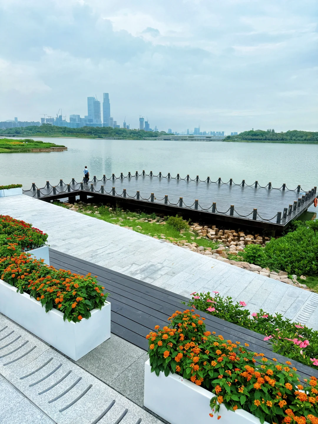 强烈推荐你去深圳湾公园沿海骑行‼️