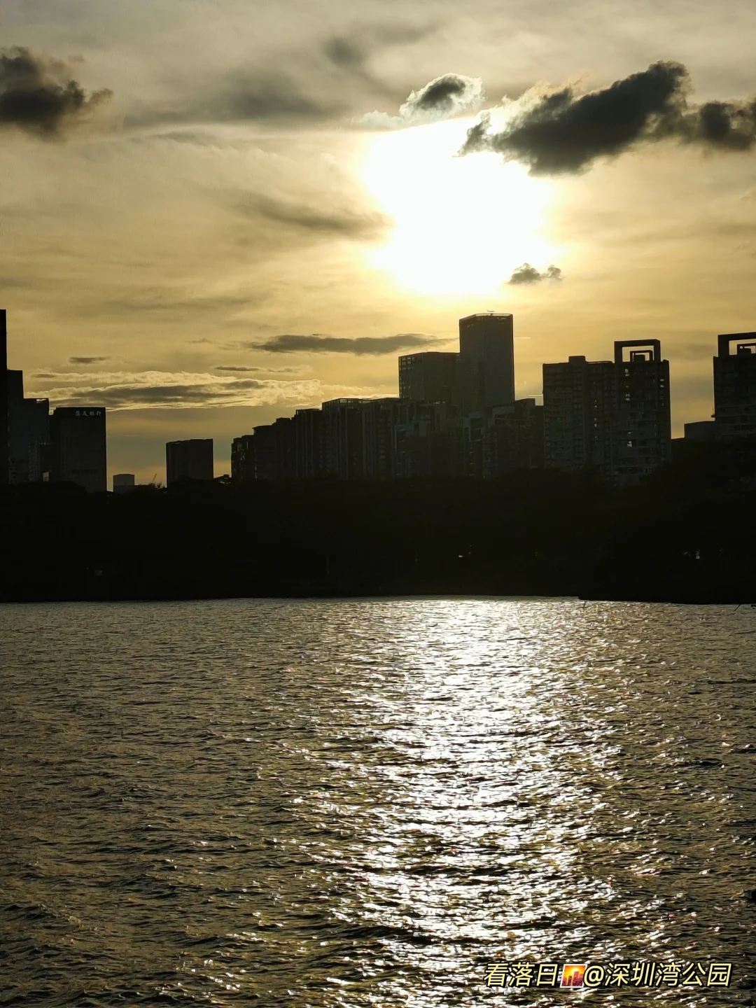 如果只来深圳1天，建议直接复制这条路线