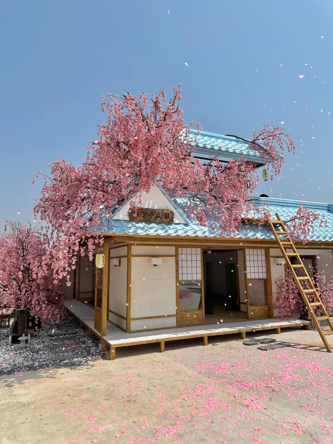 不在国外！！！！在深圳！！！！（live图）