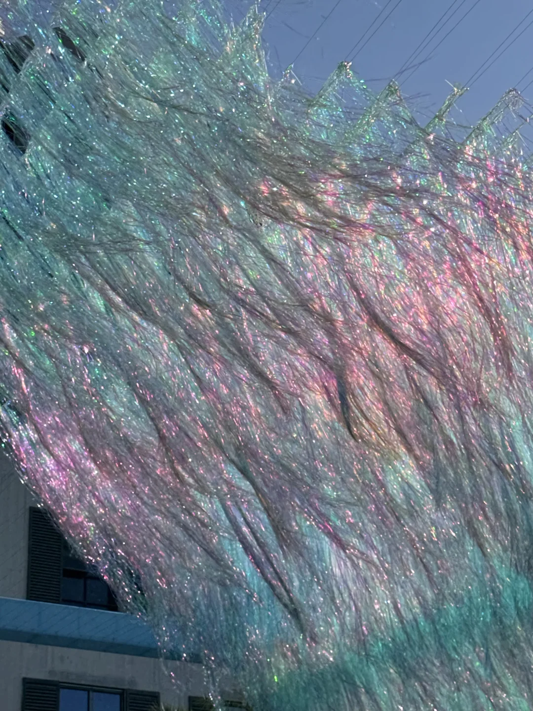 深圳很chill🌴喝咖啡逛公园