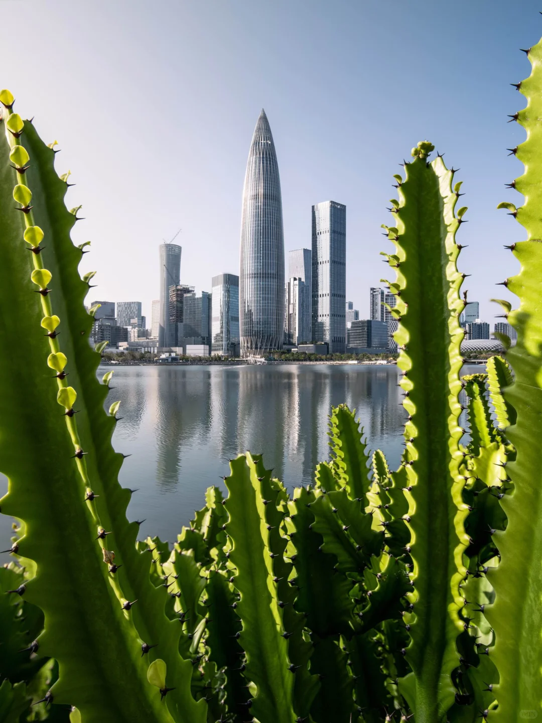 为了这1️⃣0️⃣张照片，我飞一趟深圳值吗