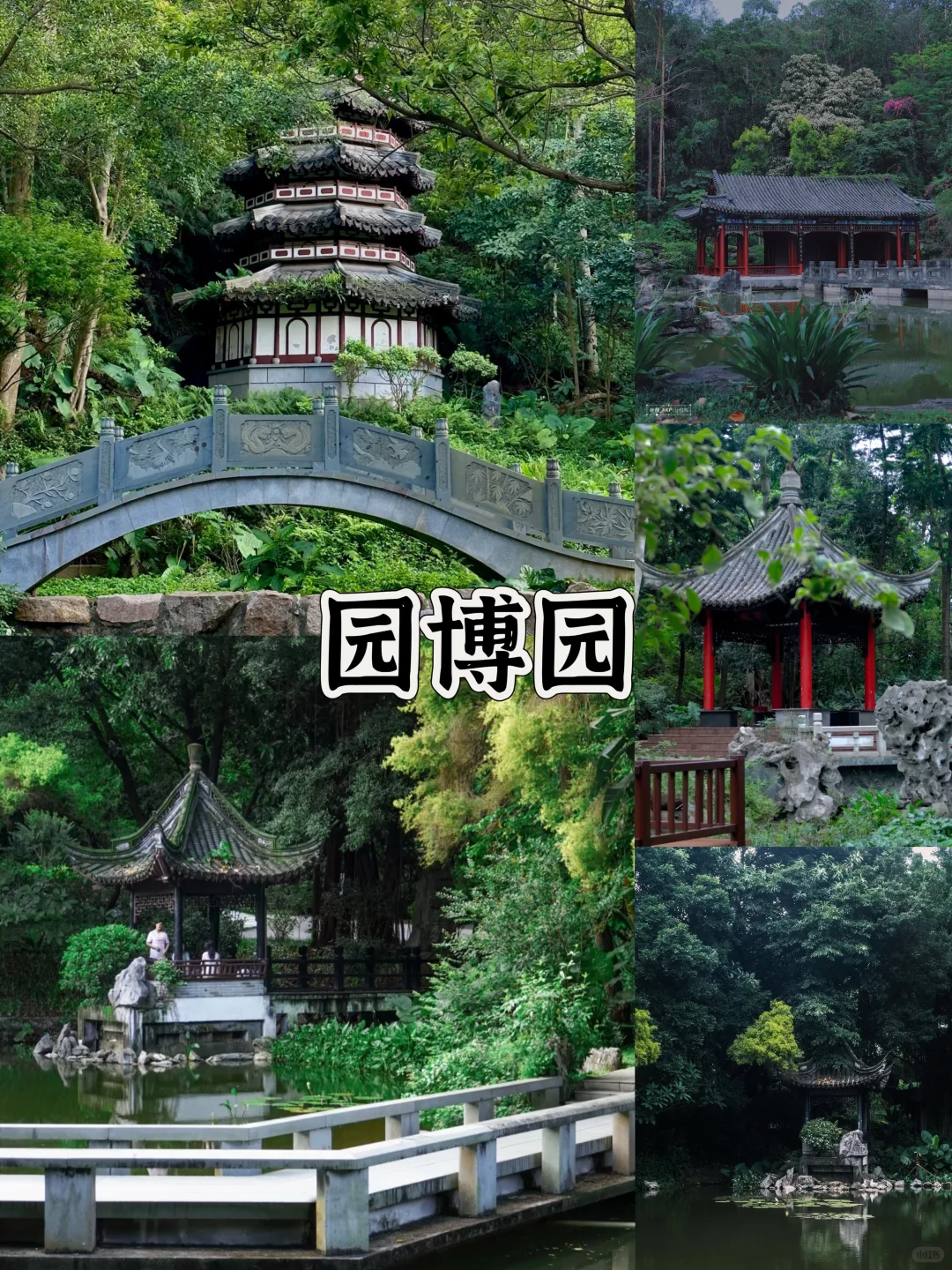 深圳地铁一号线🔥免费游玩攻略‼️