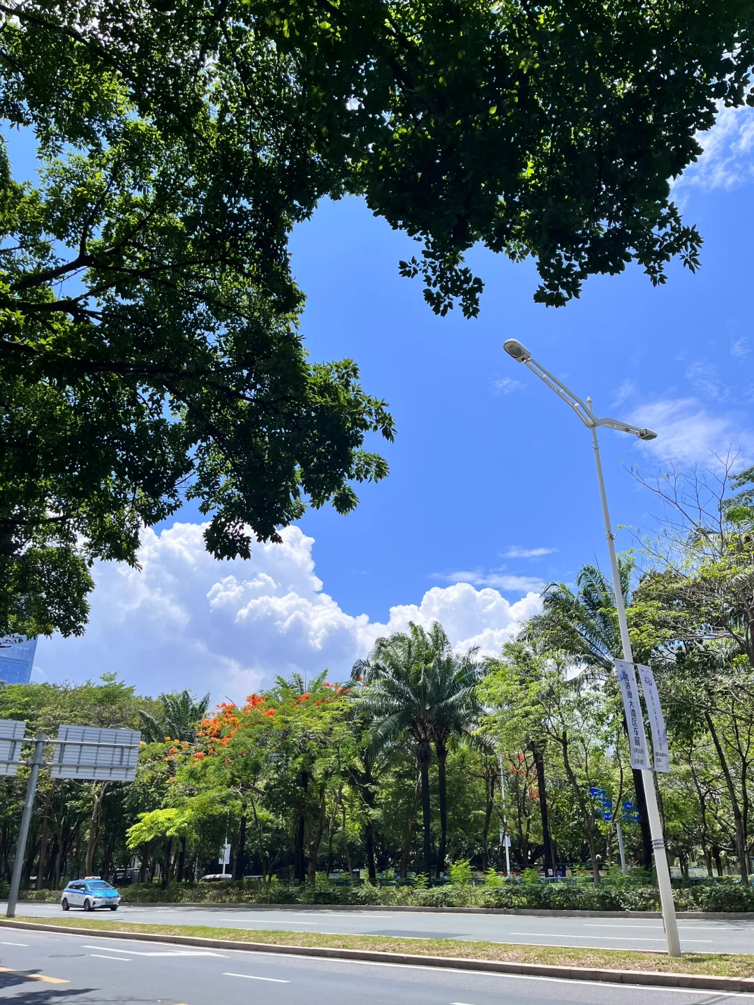 深圳真的舍不得离开