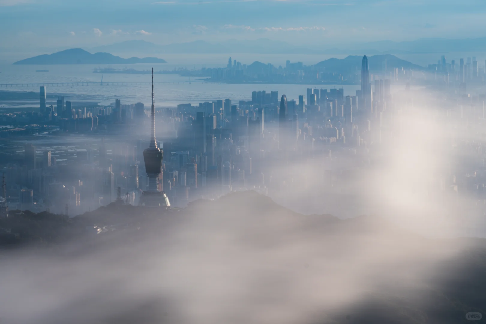 在深圳拍到了维港 ，香港第一高楼你敢信