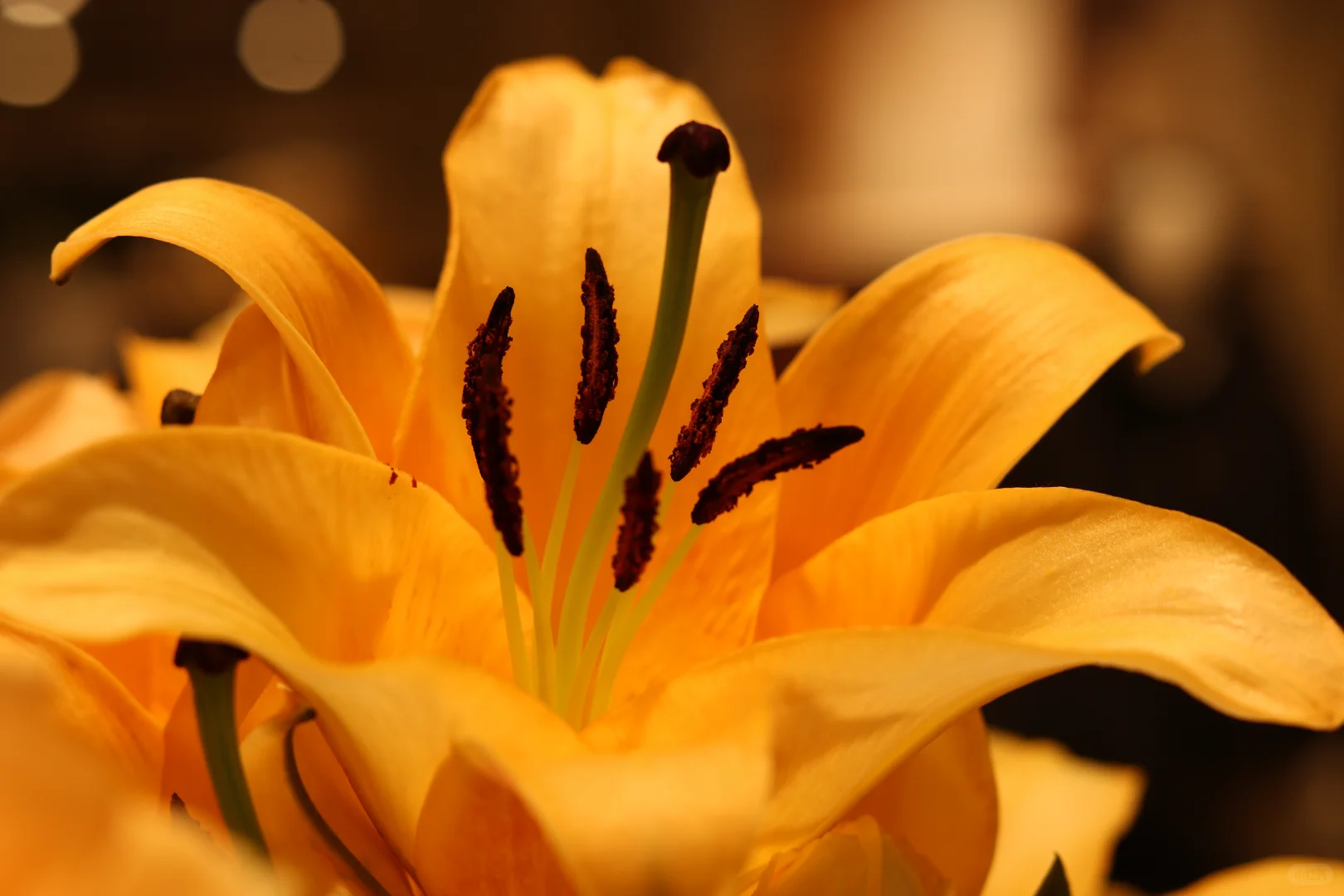 深圳市宝安区怀德万象汇3