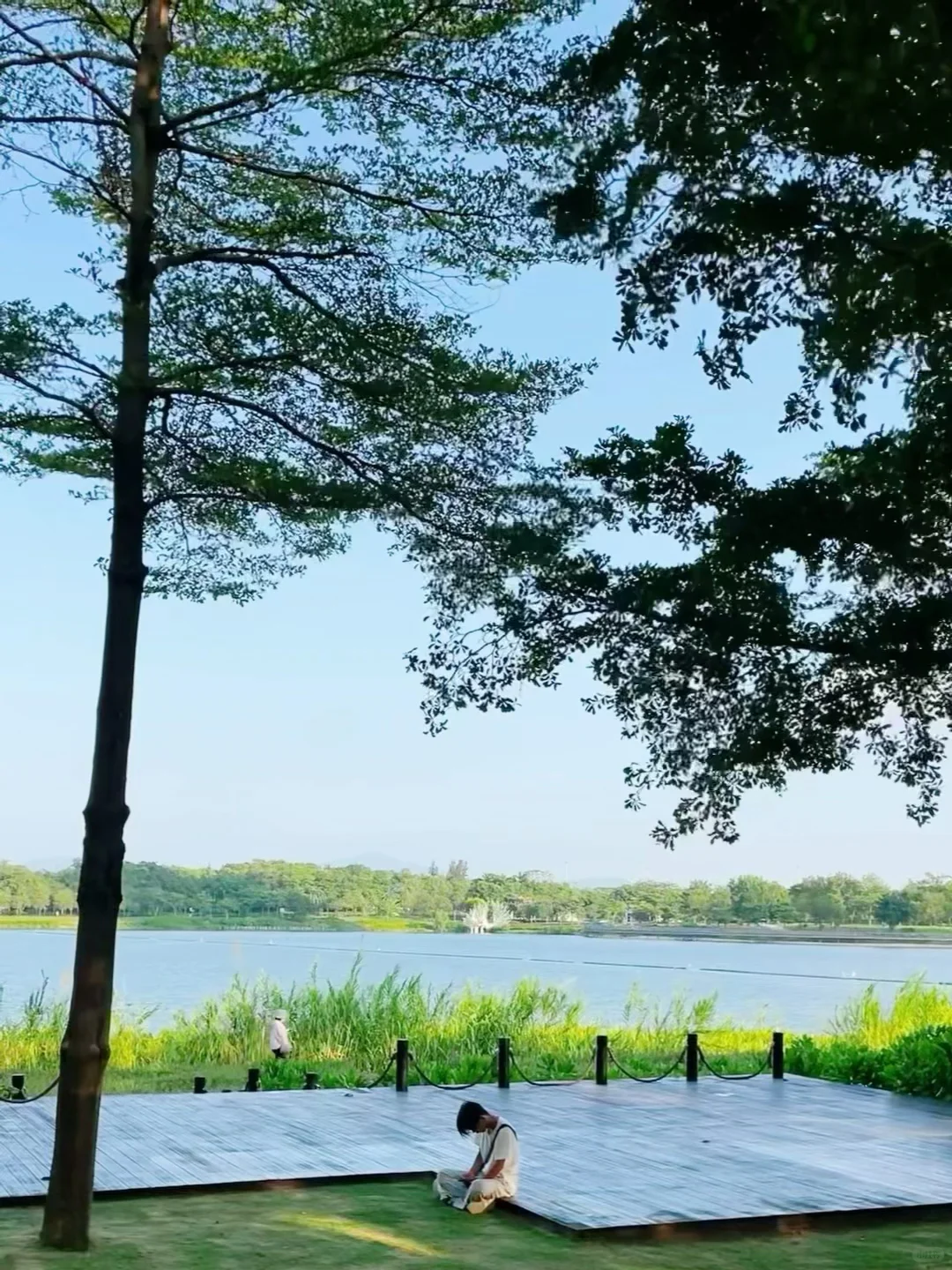 深圳‼️绝了，这是什么建筑……