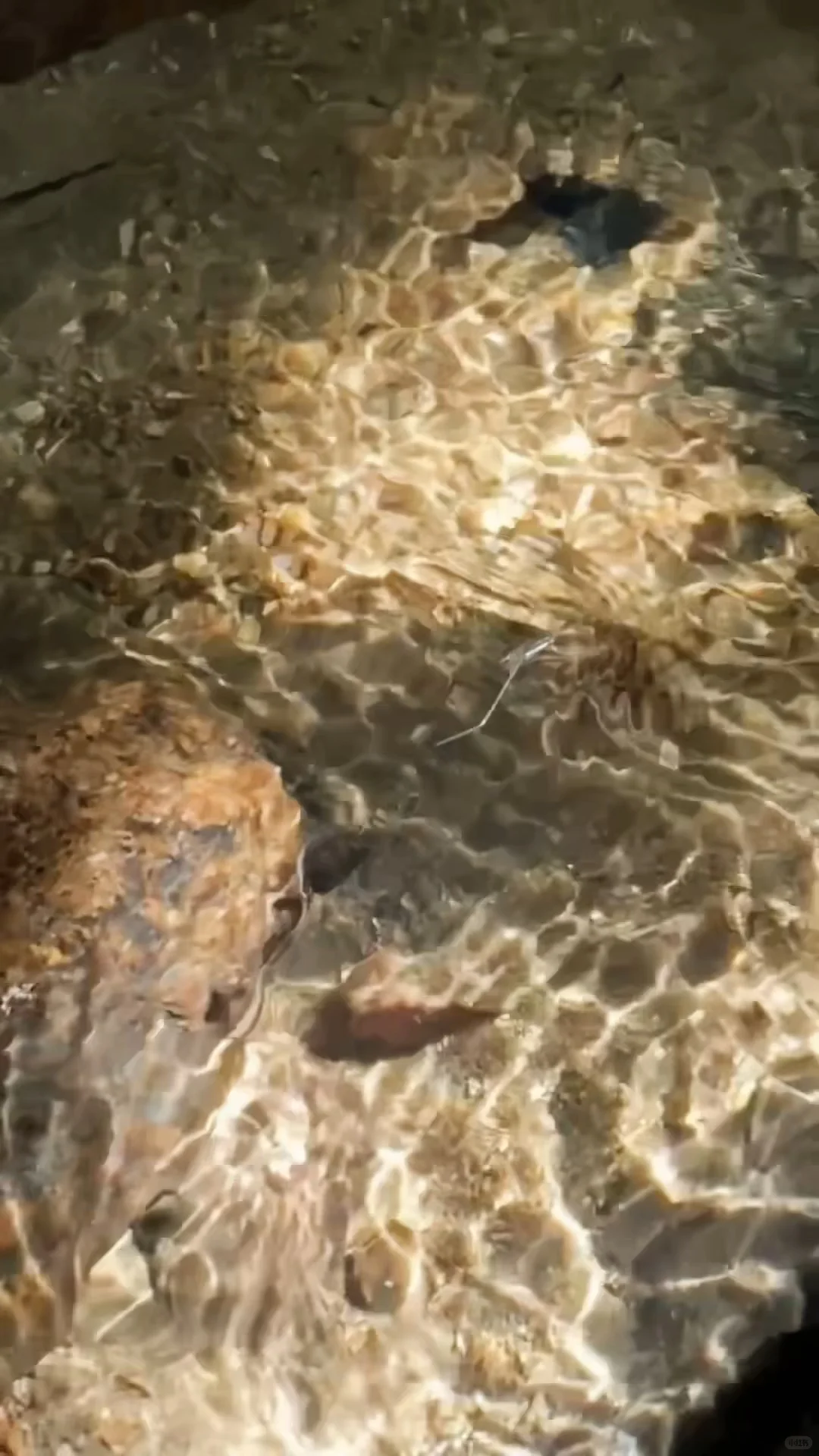 东莞大岭山森林公园｜超野朔溪路线