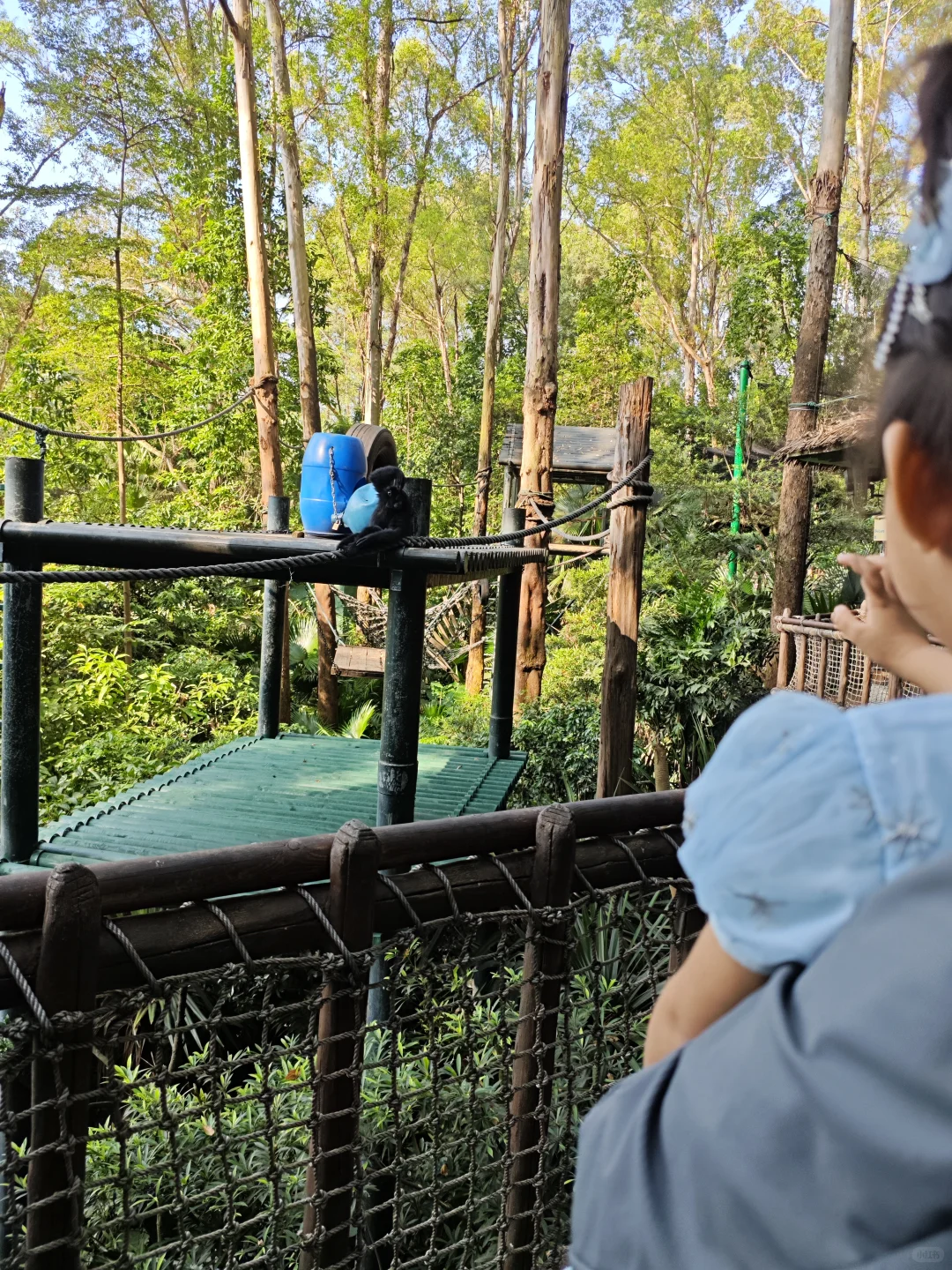 广州长隆野生动物园两日游，表演表