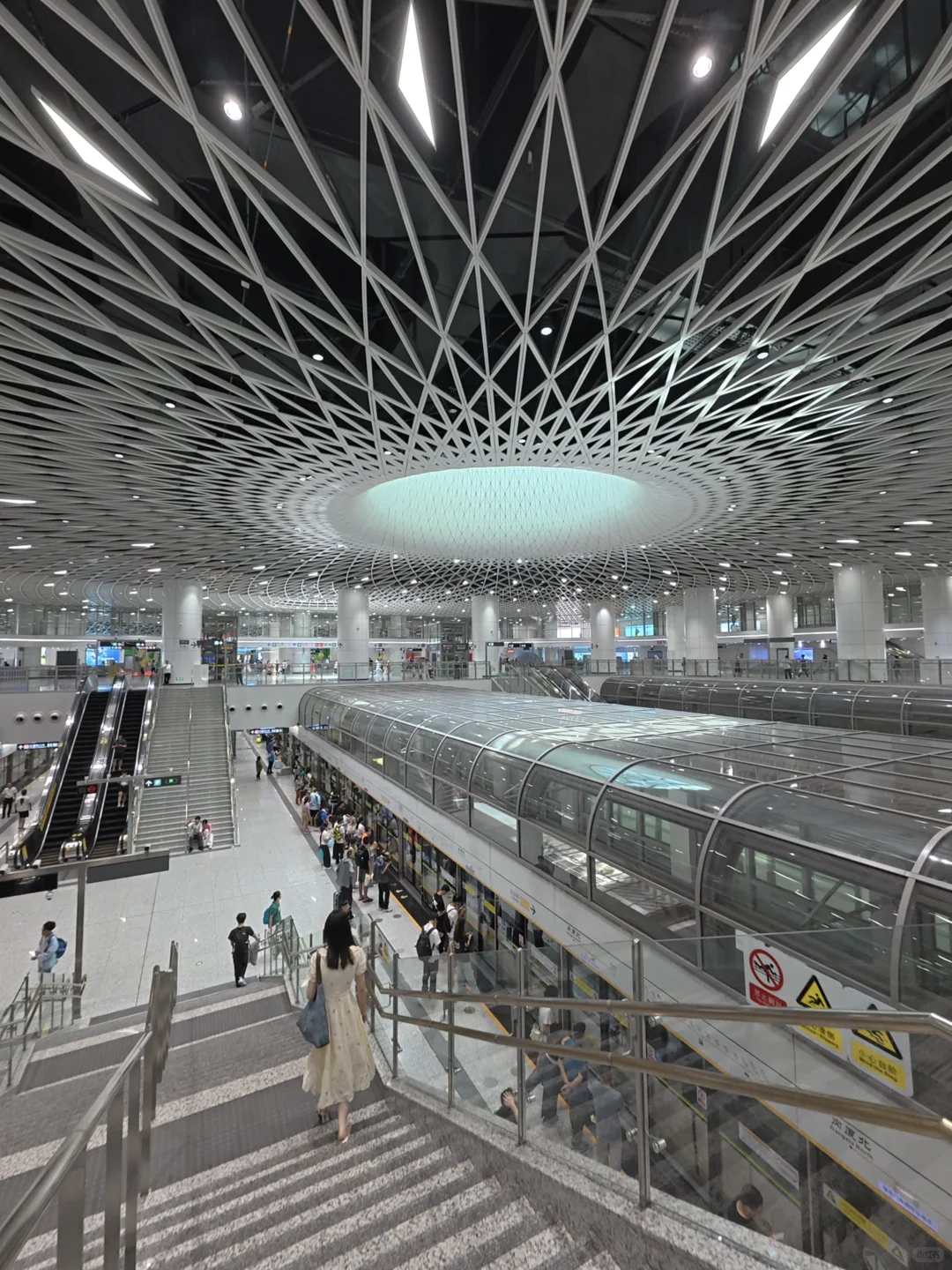 深圳城市质感——cherry picking版 👀