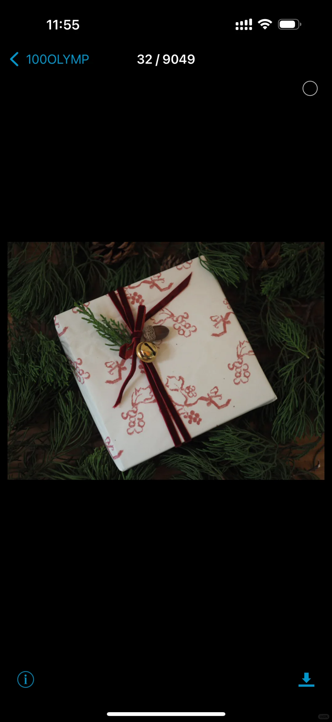 东莞｜好吃的曲奇圣诞礼盒