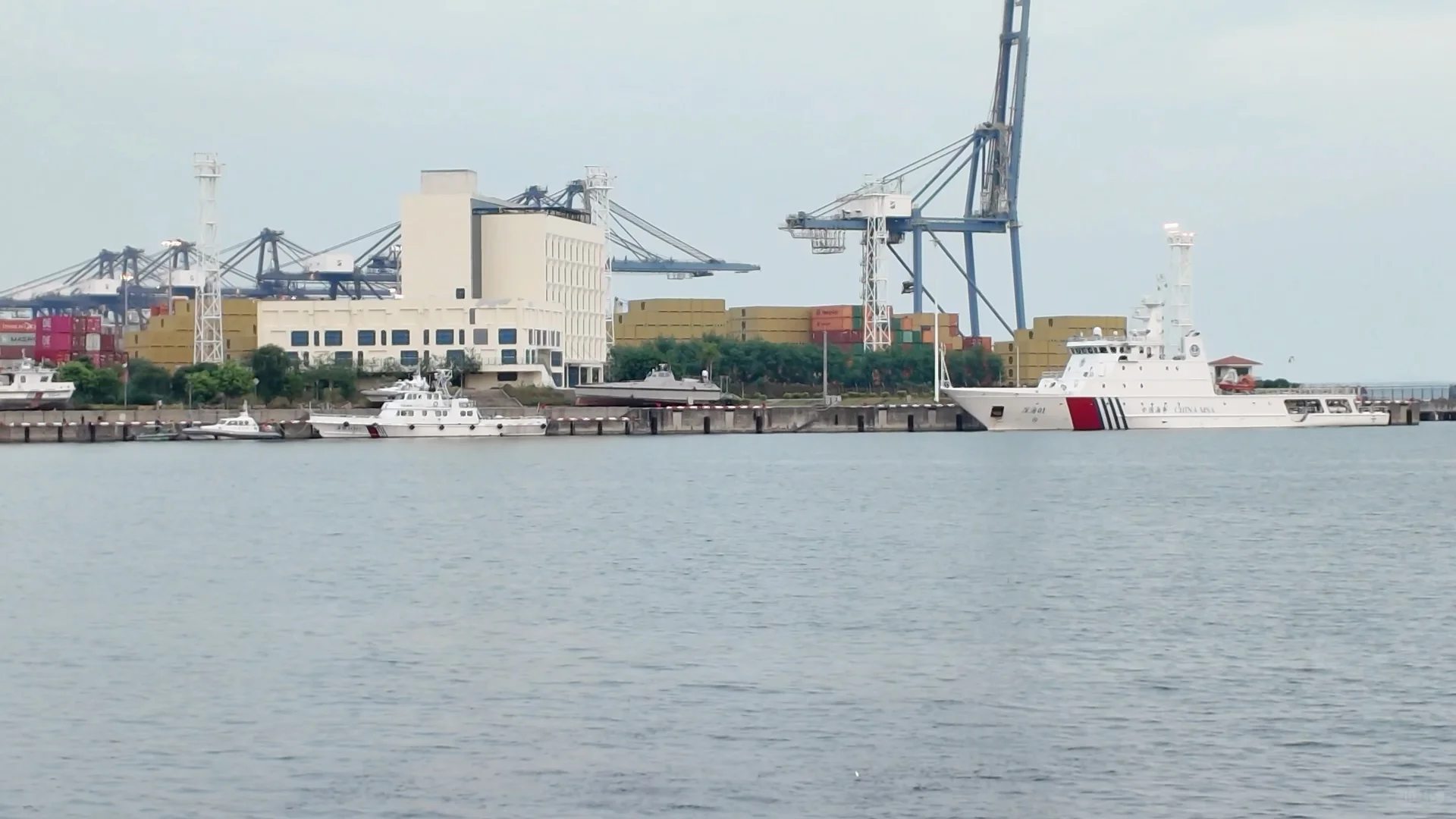 深圳湾真有你的