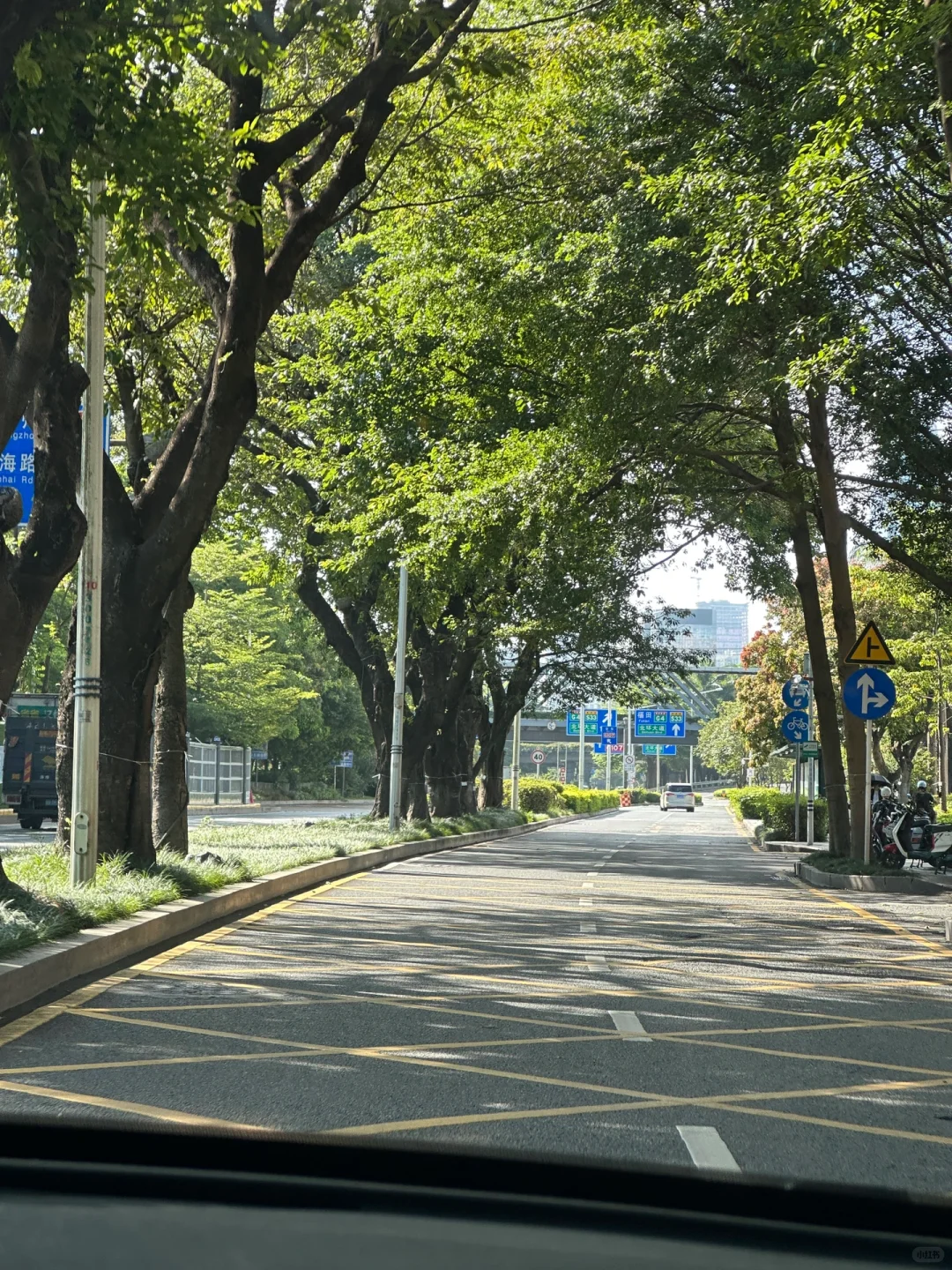 谁懂！真的好爱大深圳的晴天☀️