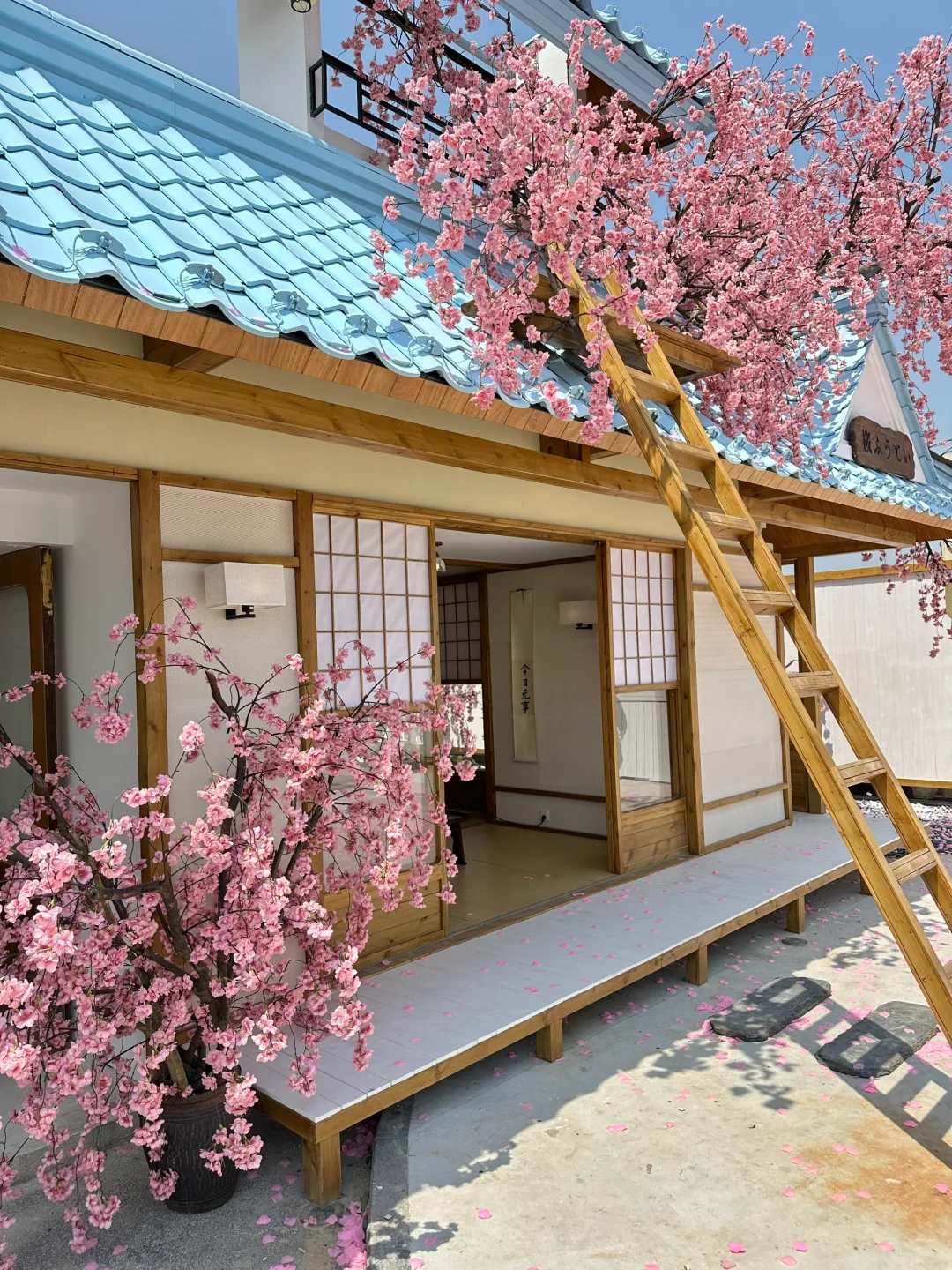 不在国外！！！！在深圳！！！！（live图）