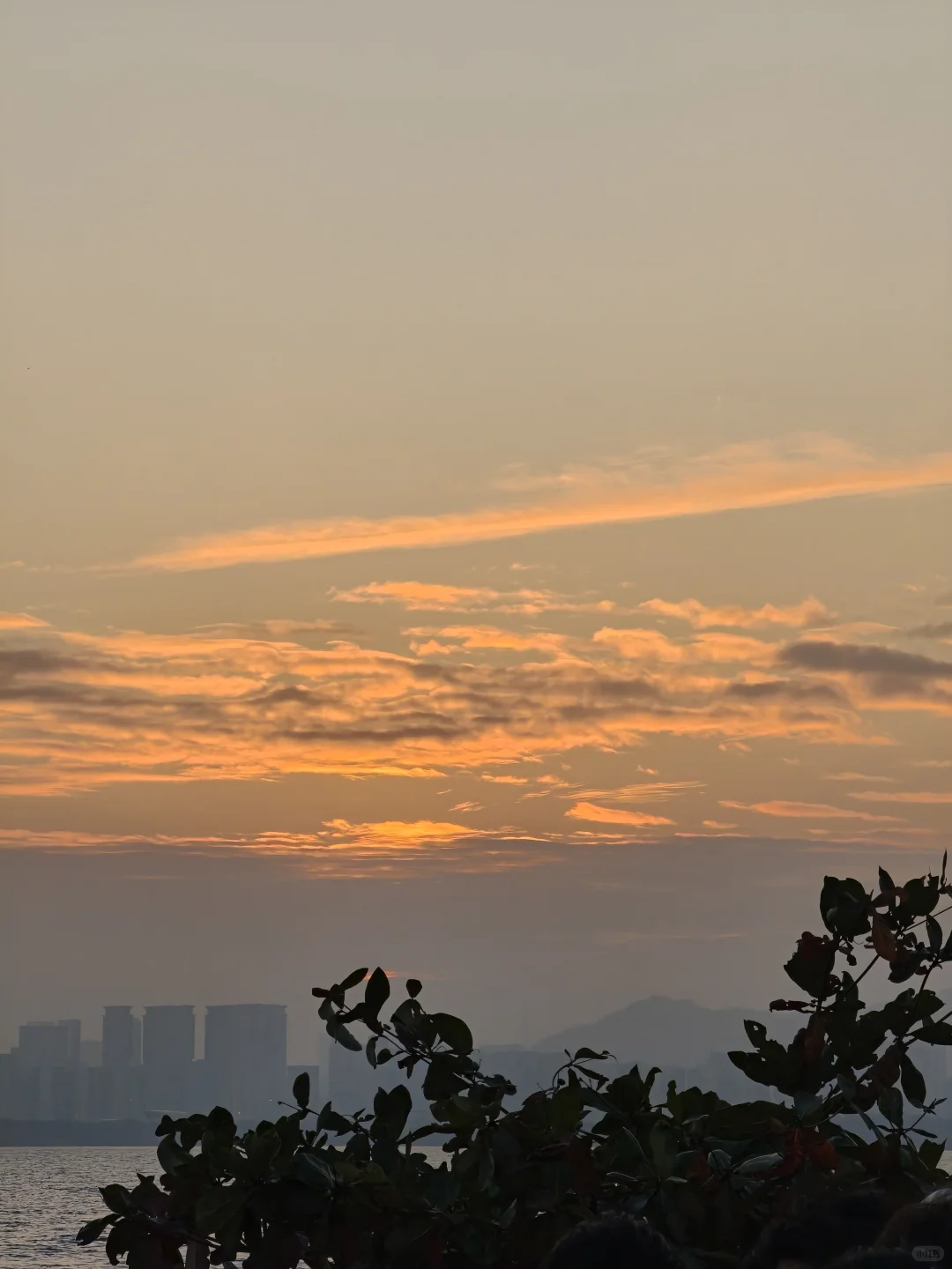 深圳湾公园挤满了仿佛没看过日落的人类