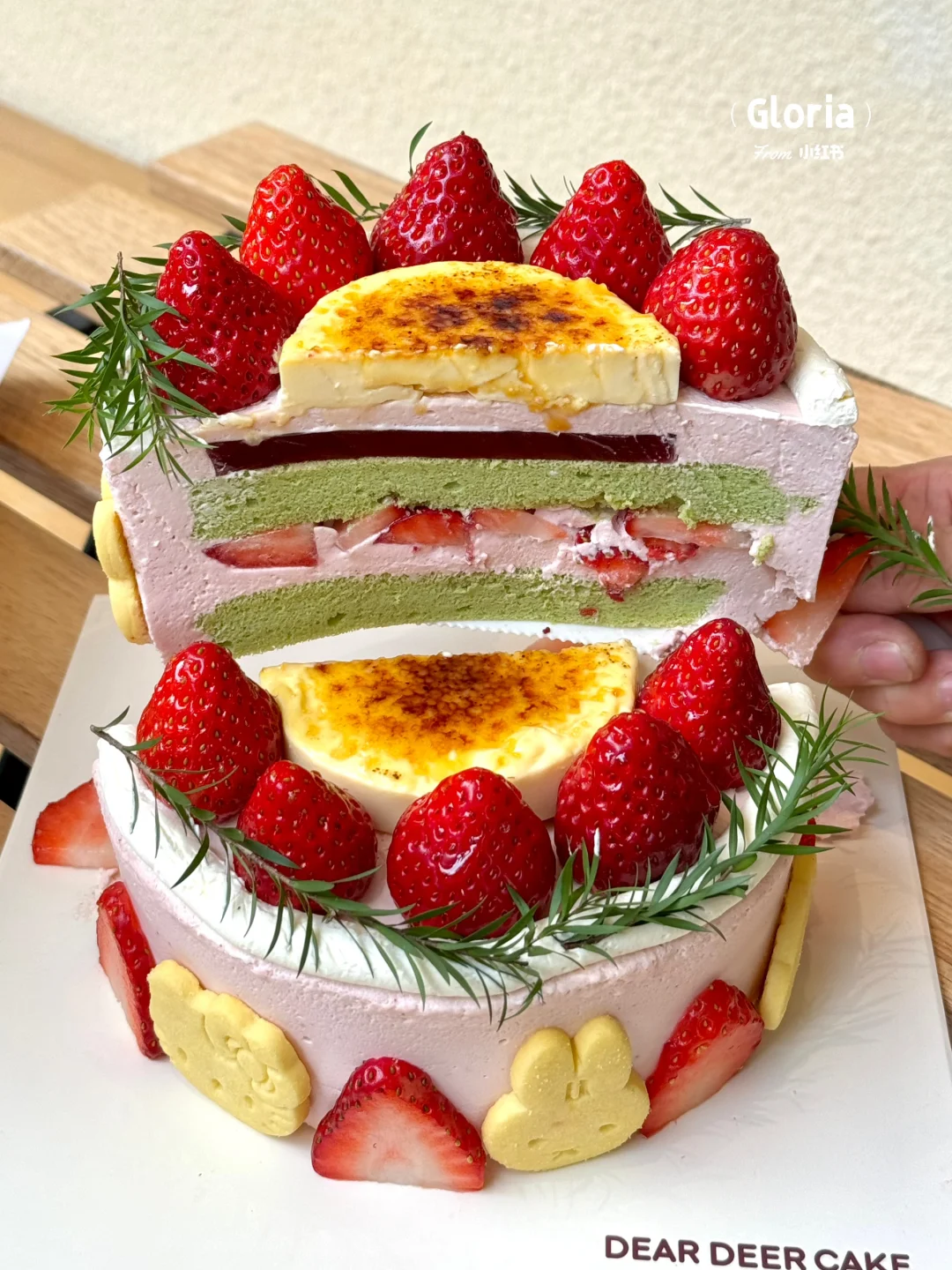 东莞！！拜见布蕾草莓蛋糕大王🍓🍓