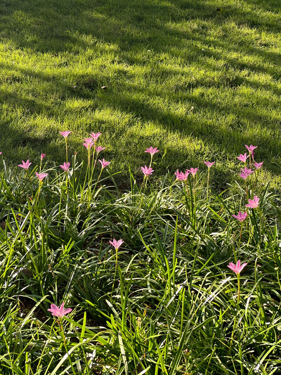 谁懂！真的好爱大深圳的晴天☀️