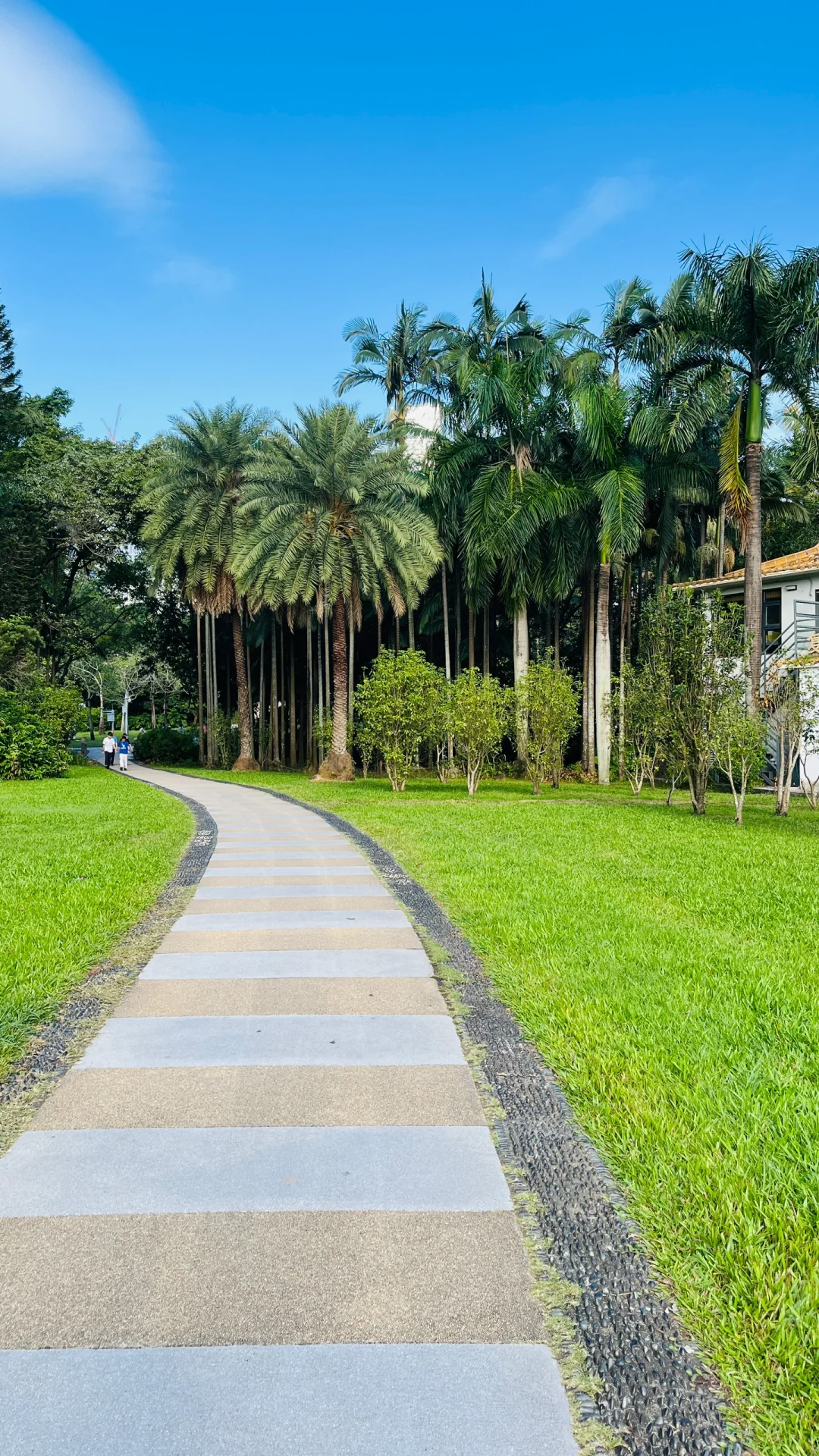 深圳福田荔枝公园游玩攻略