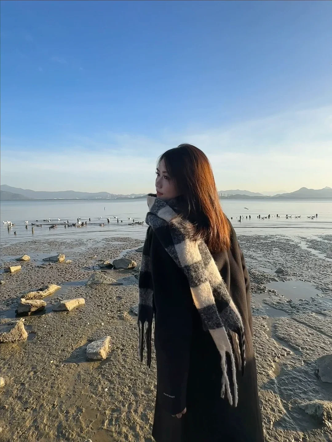 📍深圳湾公园 来看海鸥了