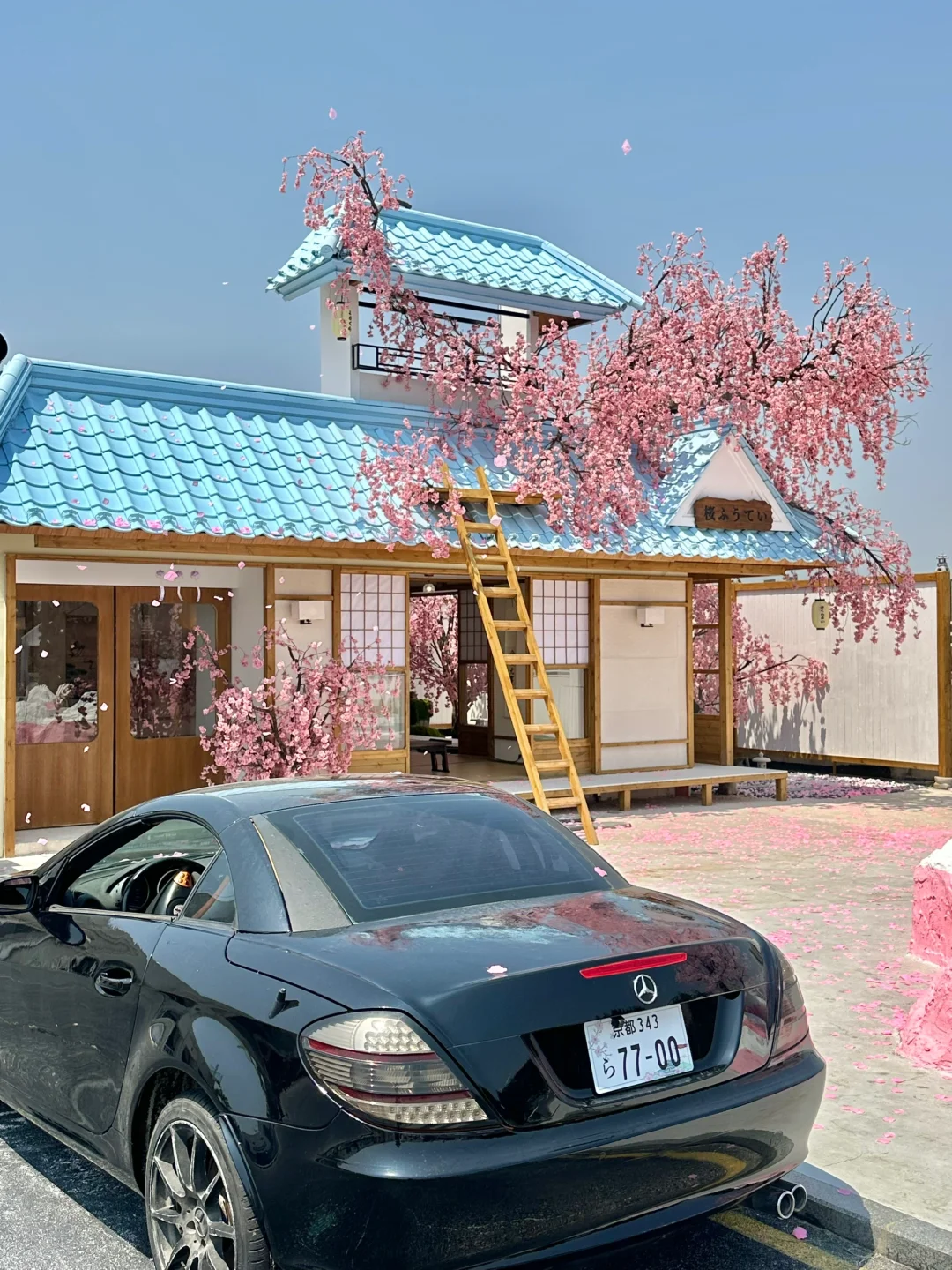 不在国外！！！！在深圳！！！！（live图）