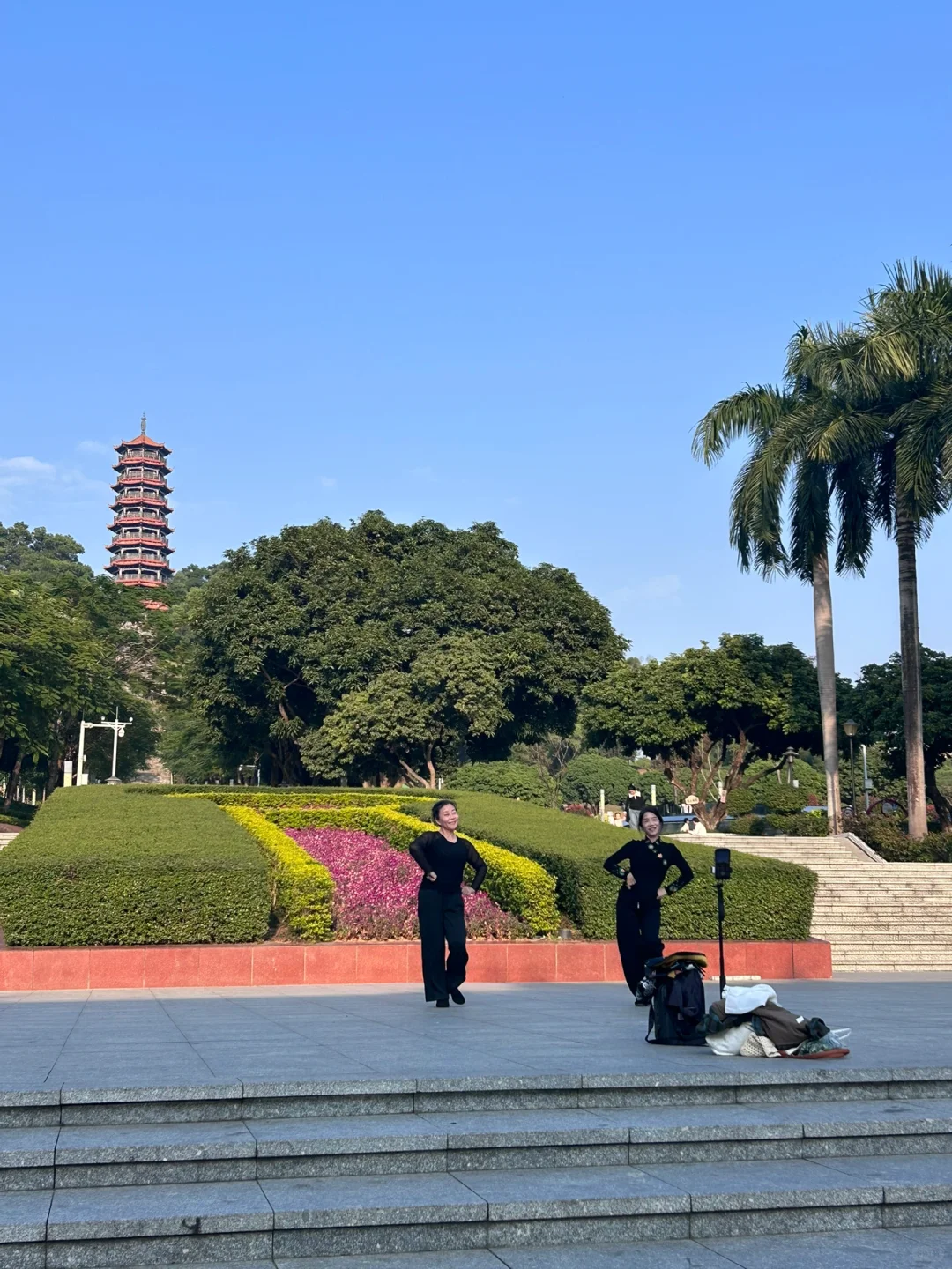 深圳除了房价贵，简直完美！过冬不要太爽啦