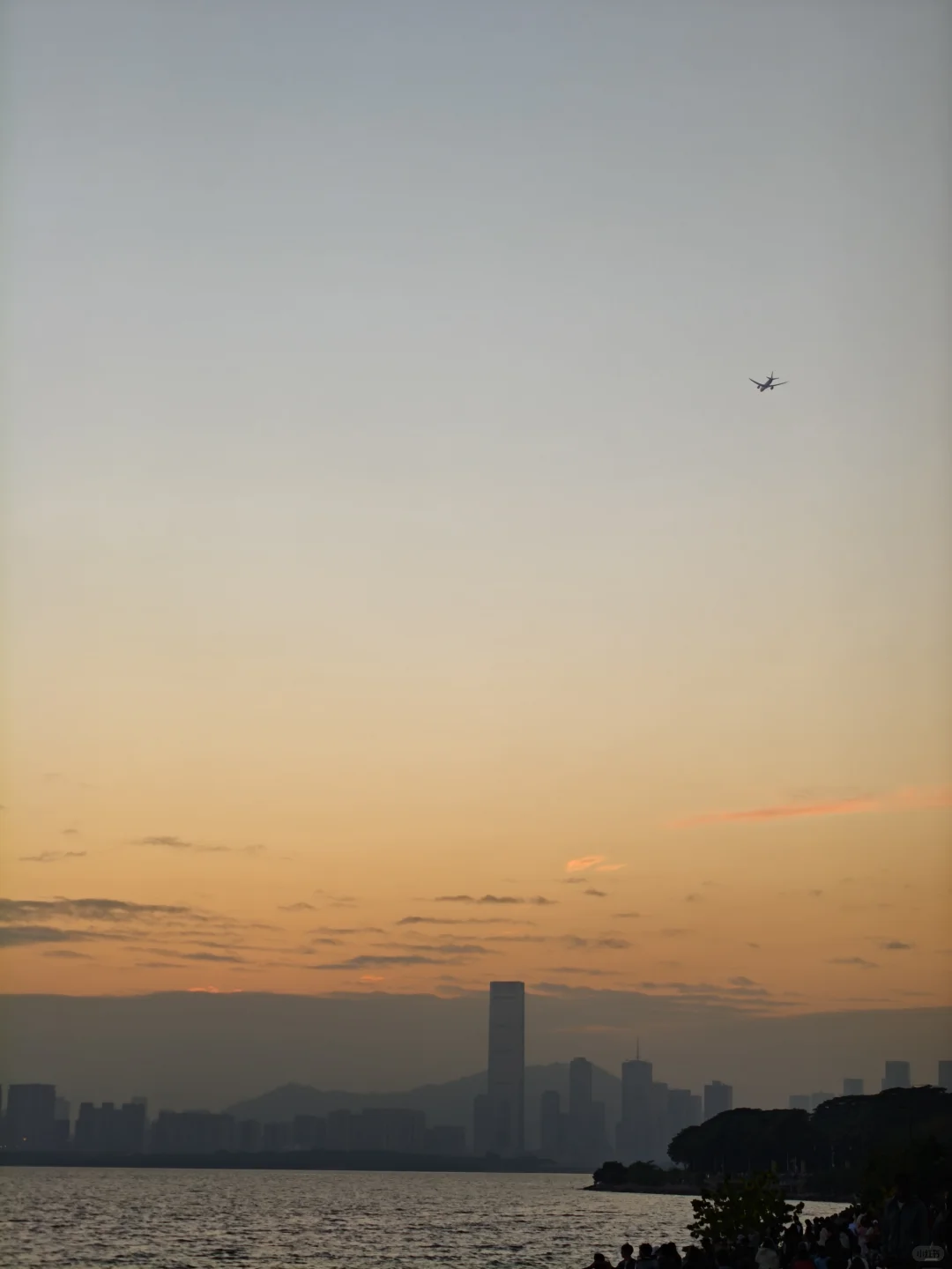 深圳湾公园挤满了仿佛没看过日落的人类
