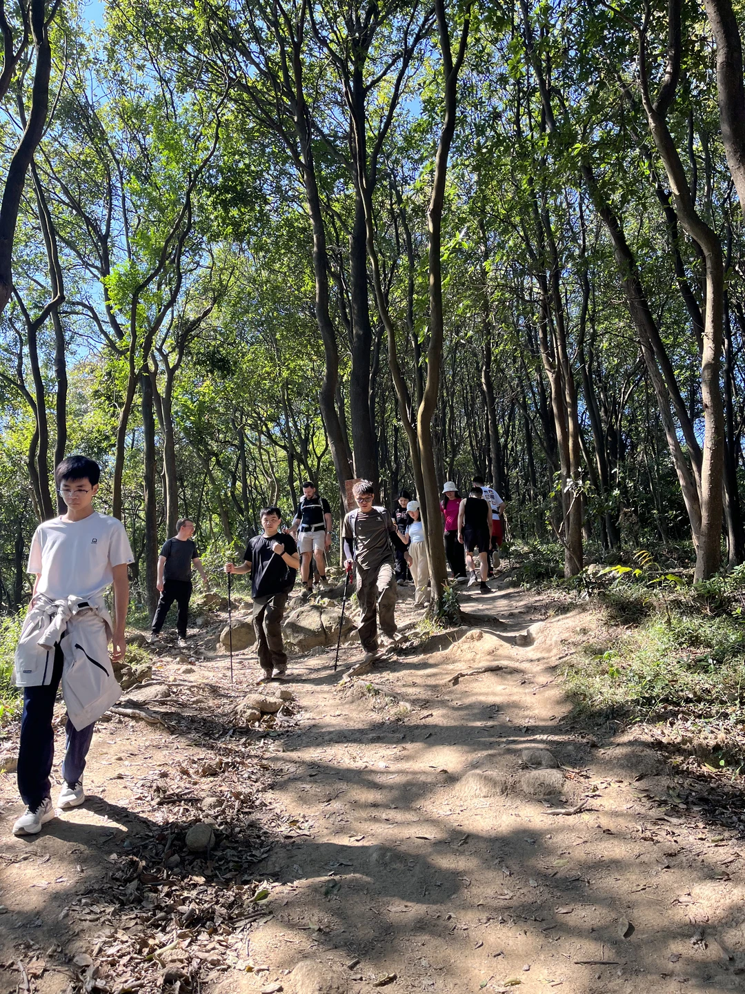 广州市区的“布罗莫”徒步！新手友好！