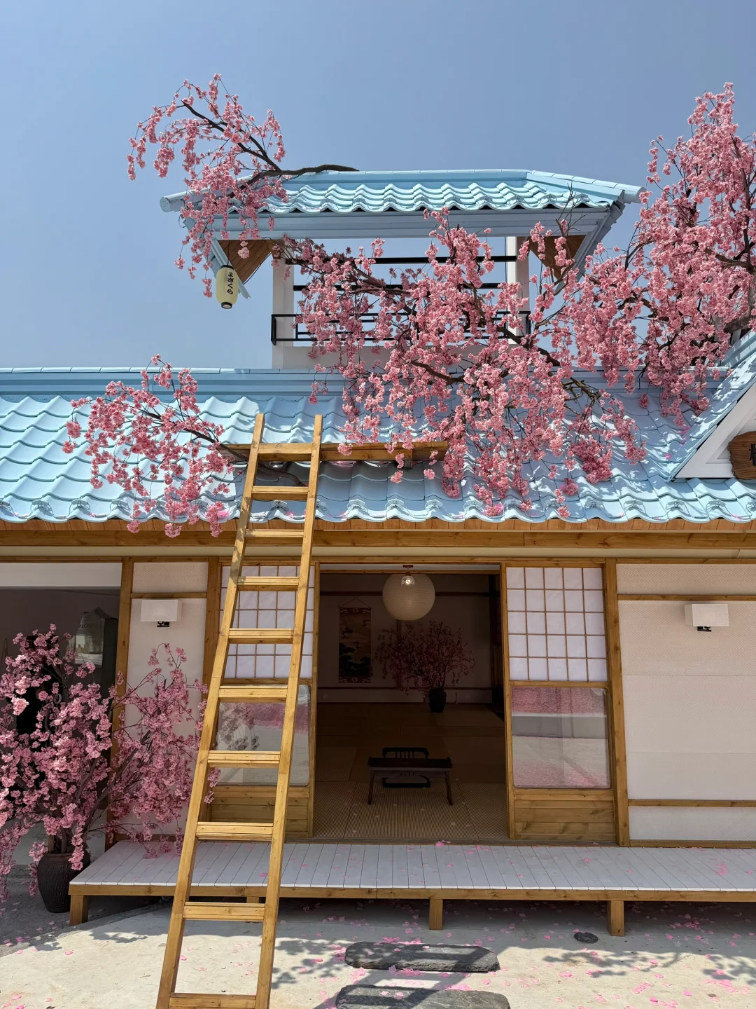 不在国外！！！！在深圳！！！！（live图）