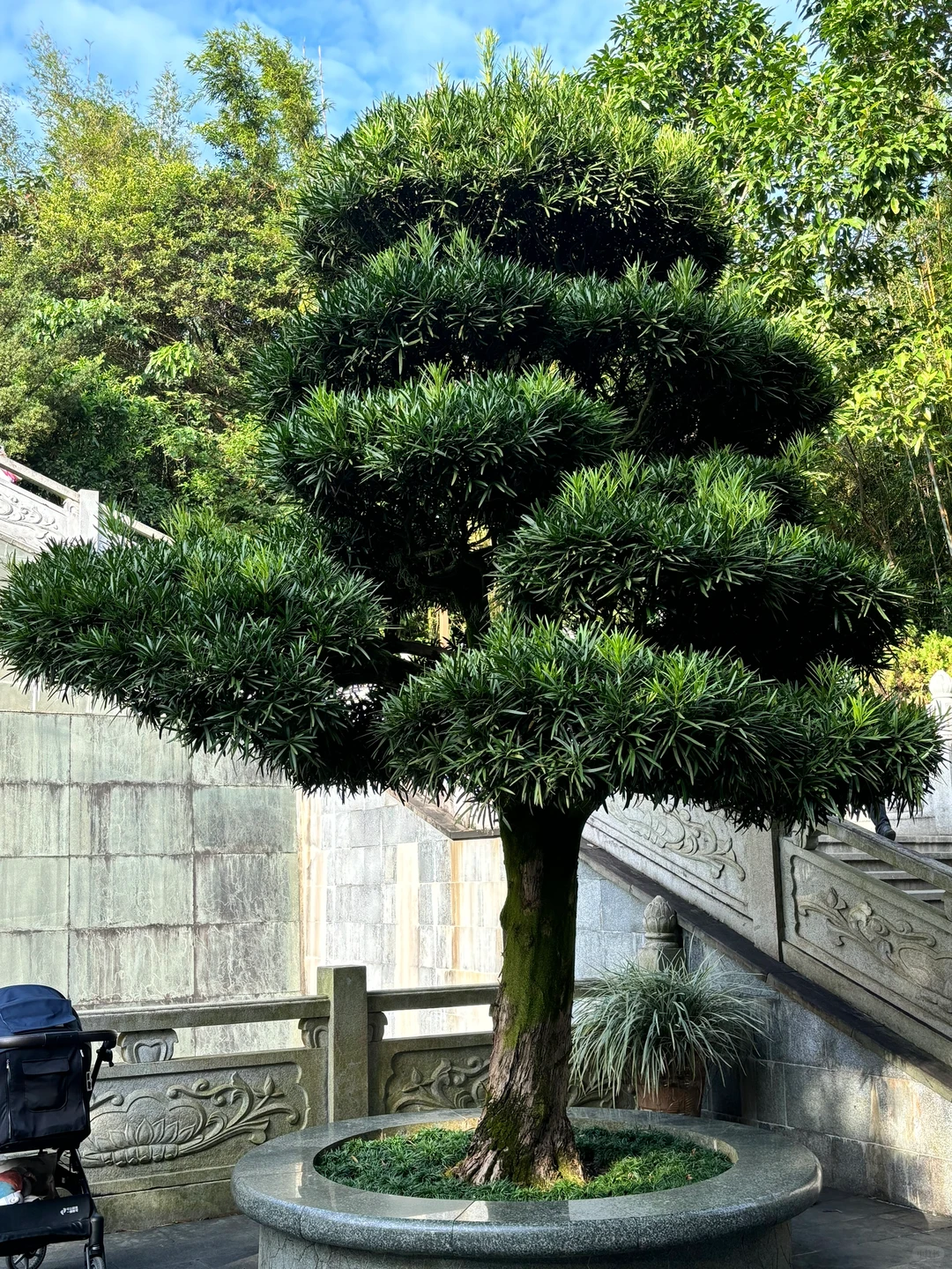 深圳大华兴寺 | 打卡绝美寺庙✨