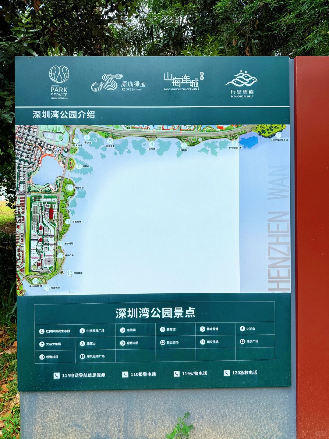 强烈推荐你去深圳湾公园沿海骑行‼️