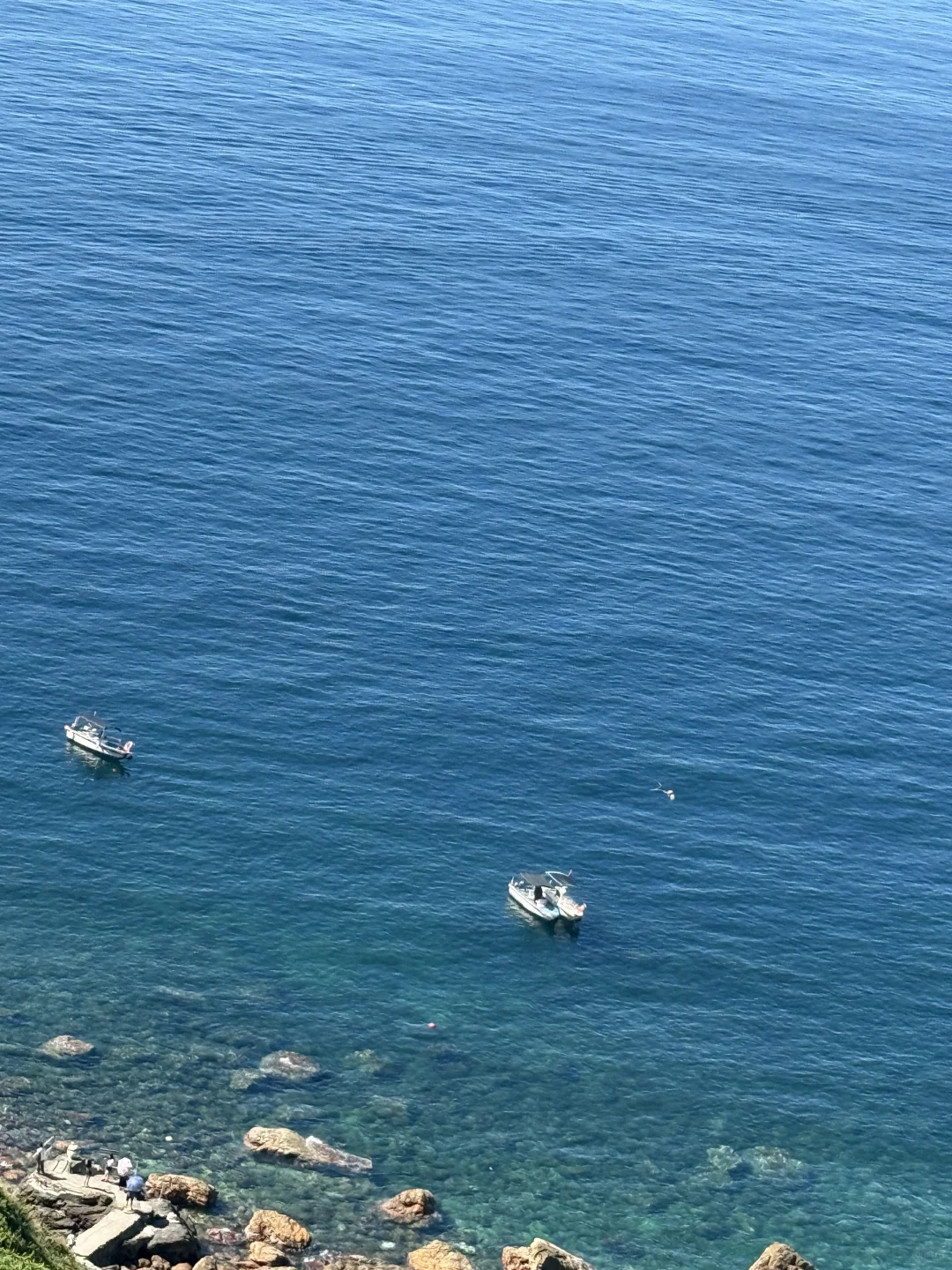 📍SHENZHEN｜ 深圳·天文台