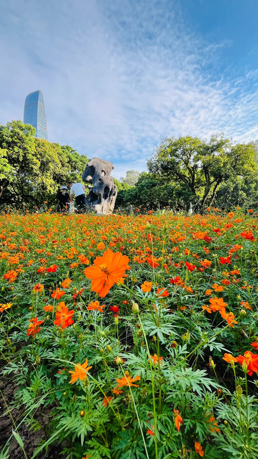 深圳福田荔枝公园游玩攻略