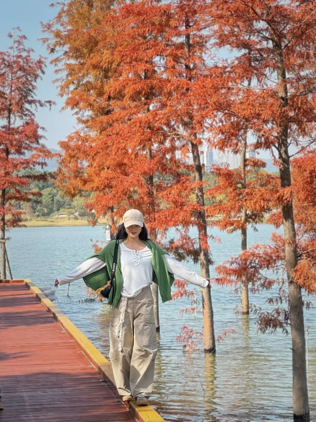 深圳实况｜新的湿地公园落羽杉已红🍁附机位