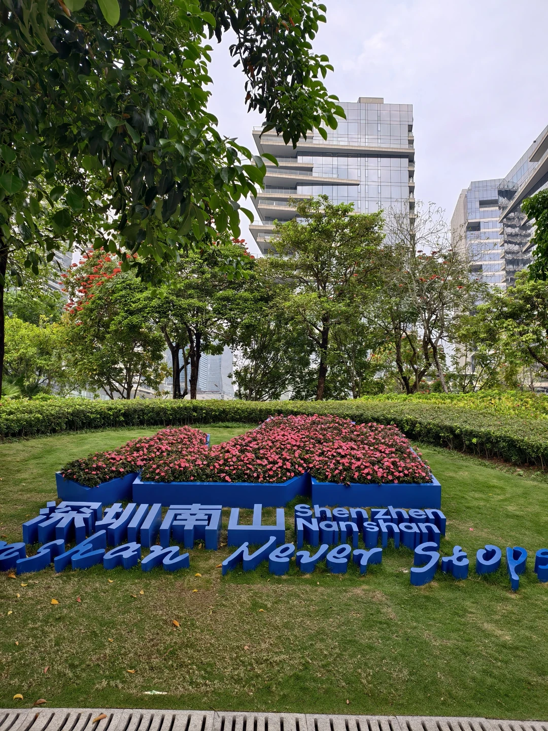 一城一跑！打卡深圳跑步的天花板！