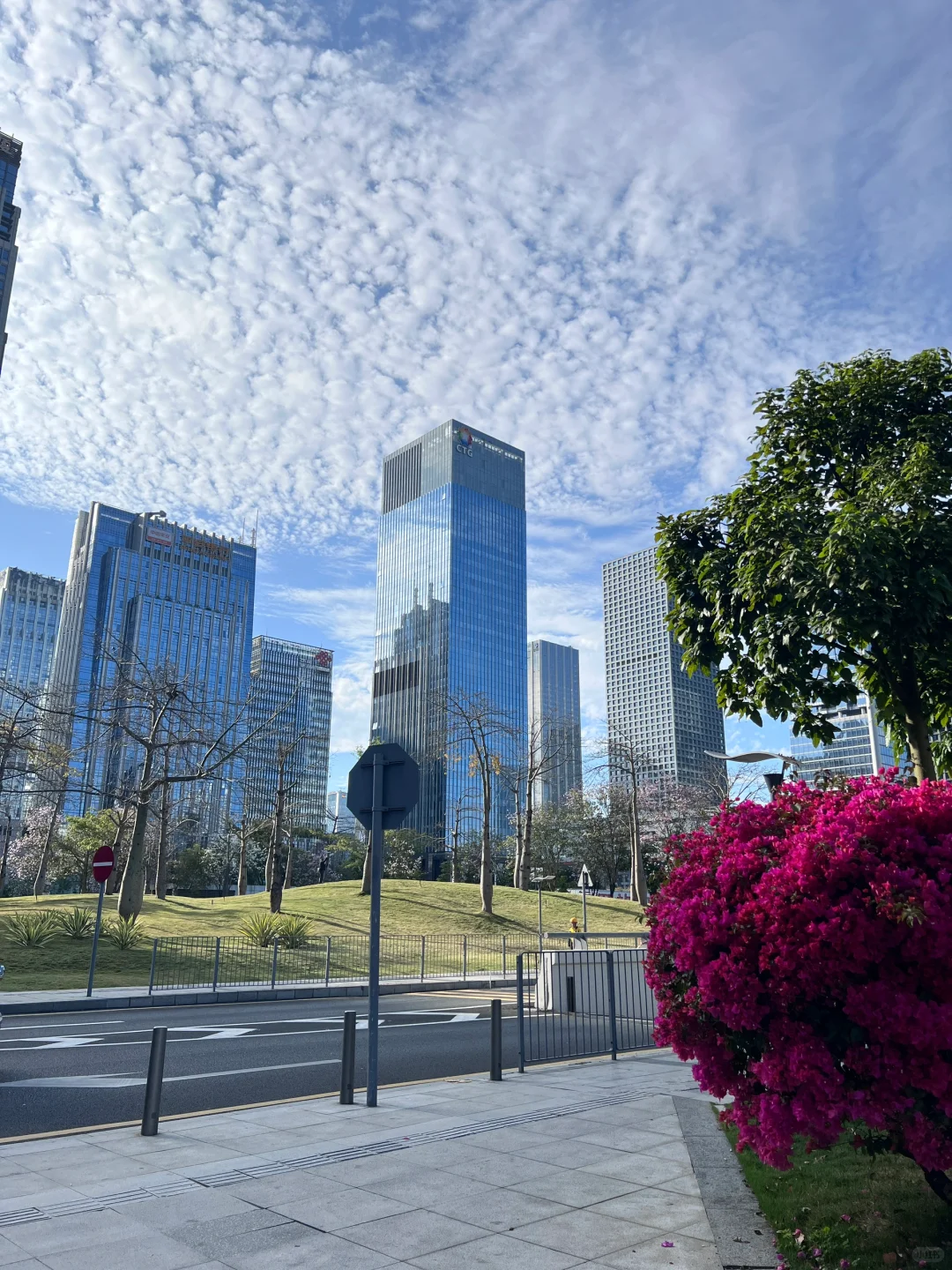 谁懂今天深圳的的好天气 蓝天白云🩵live图