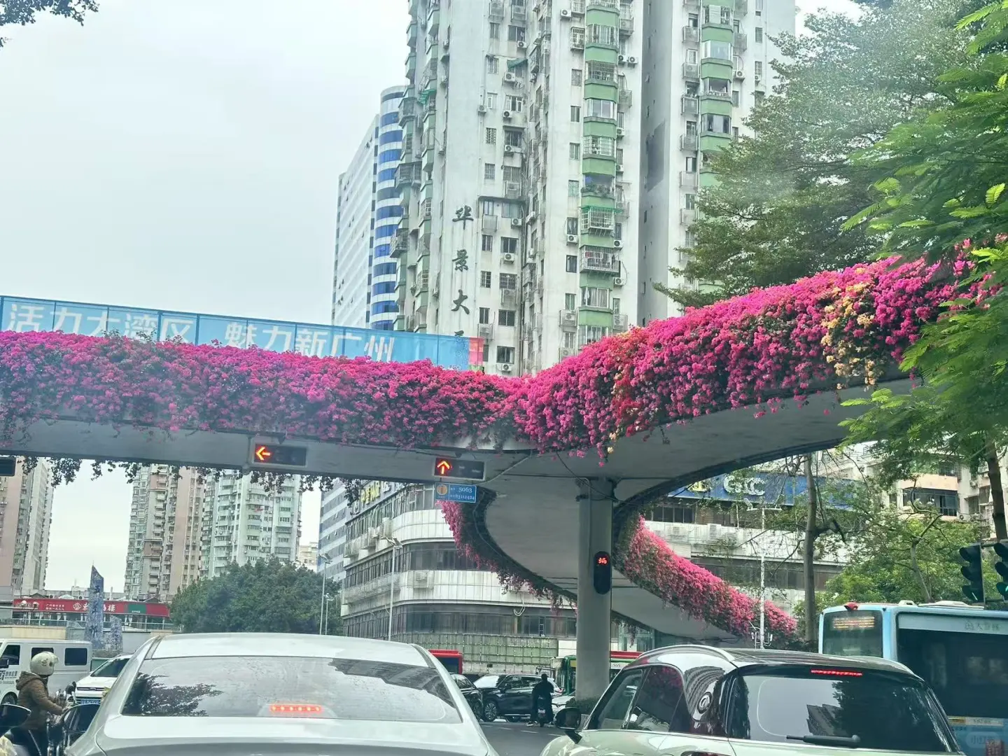 广州的春天来了😅😅