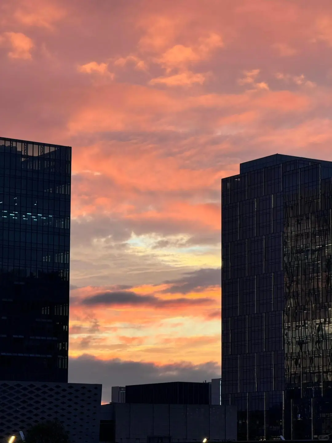在深圳｜有钱叫深圳，没钱叫深渊🍂