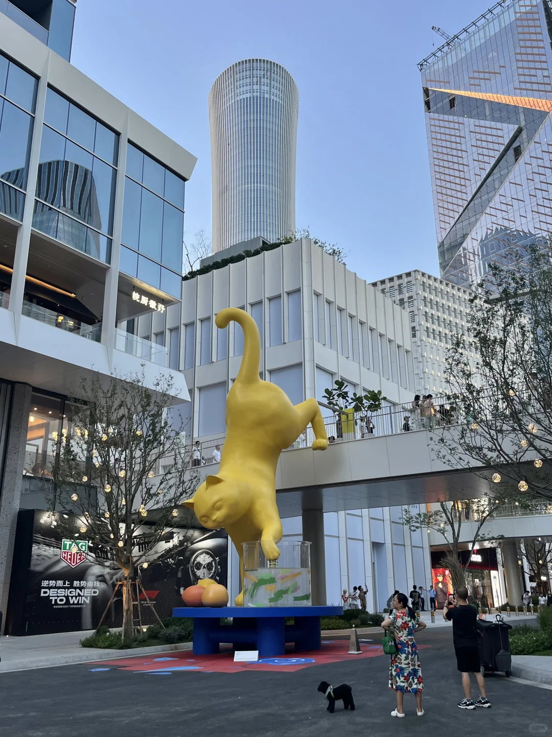 南山区真的越来越好看了