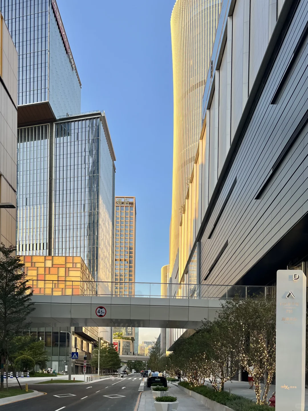 南山区真的越来越好看了